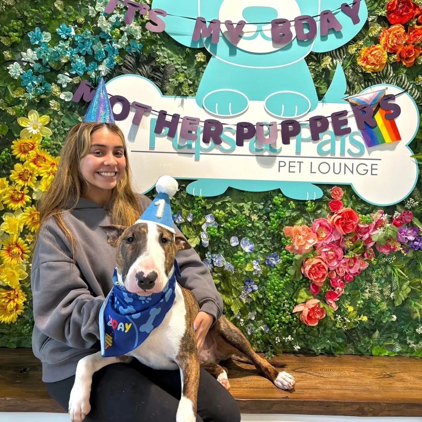 The pups are so excited for Atticus and Zephyr&rsquo;s birthday today! ☔️🎉