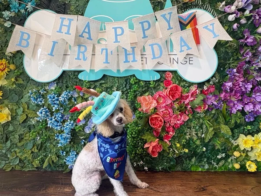 Happy Monday 🐾 ☀️ We are celebrating the 1st of the month with two special birthdays! Happy Birthday Flynn and Kevin!🥳🎂💙