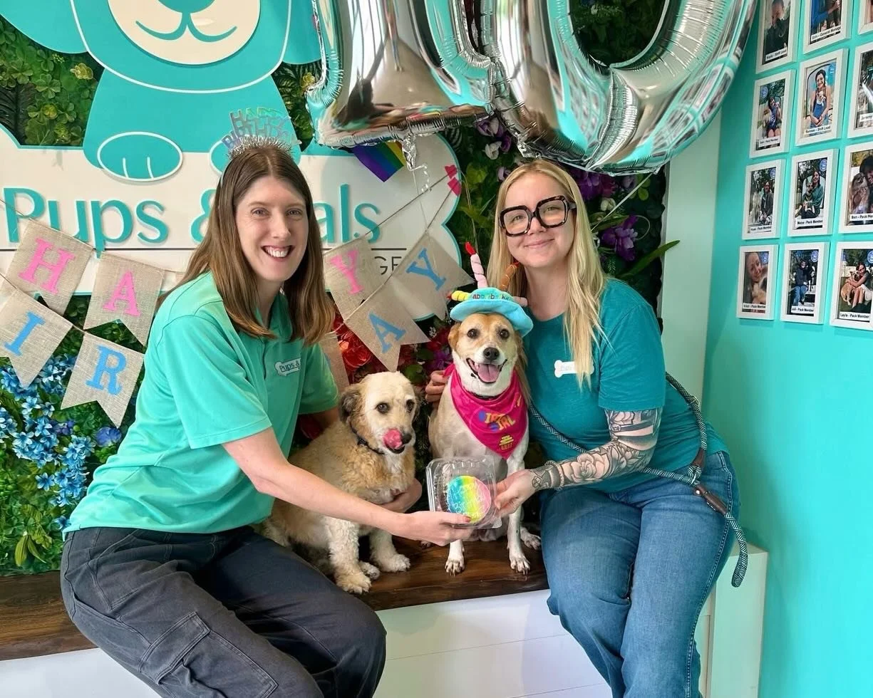 Happy Friday! We&rsquo;re bringing in the weekend with 2 special birthdays! Happy 10th birthday to Miss Mali and 1st birthday to little Rootie! 🥳❤️