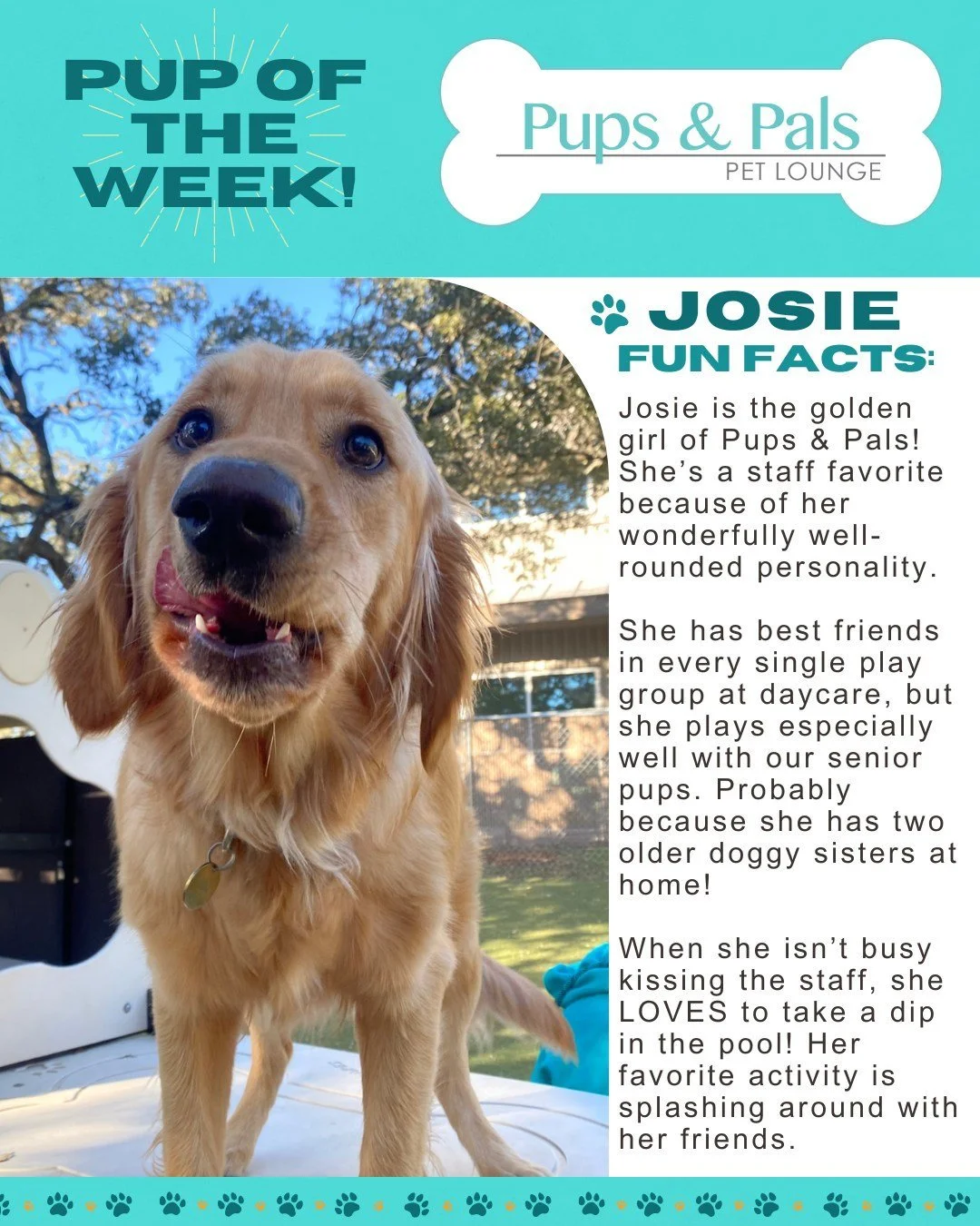 🐾💙 Check out this week's Pup of the Week: Josie! 💙🐾