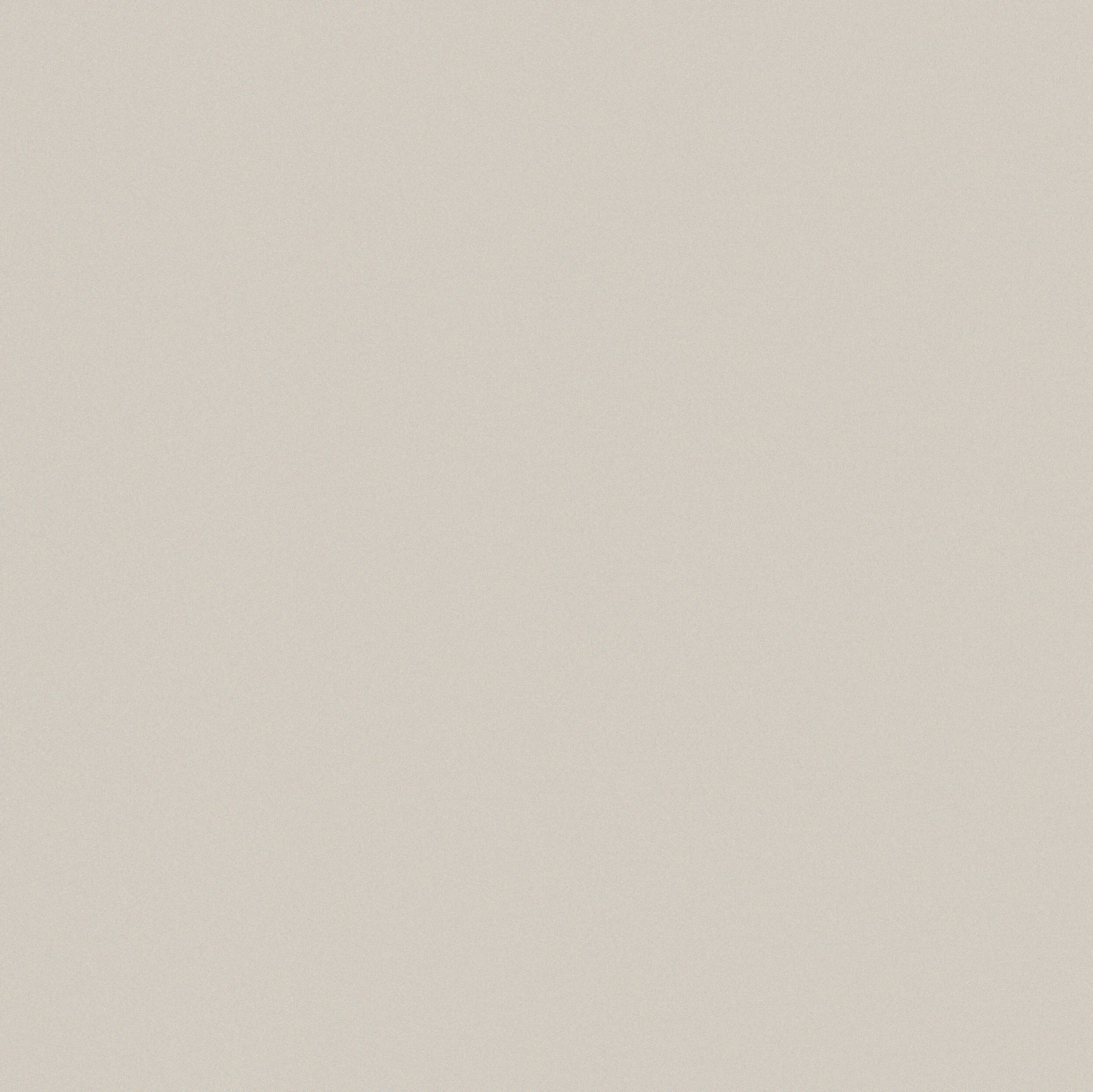 Warm Grey Matt