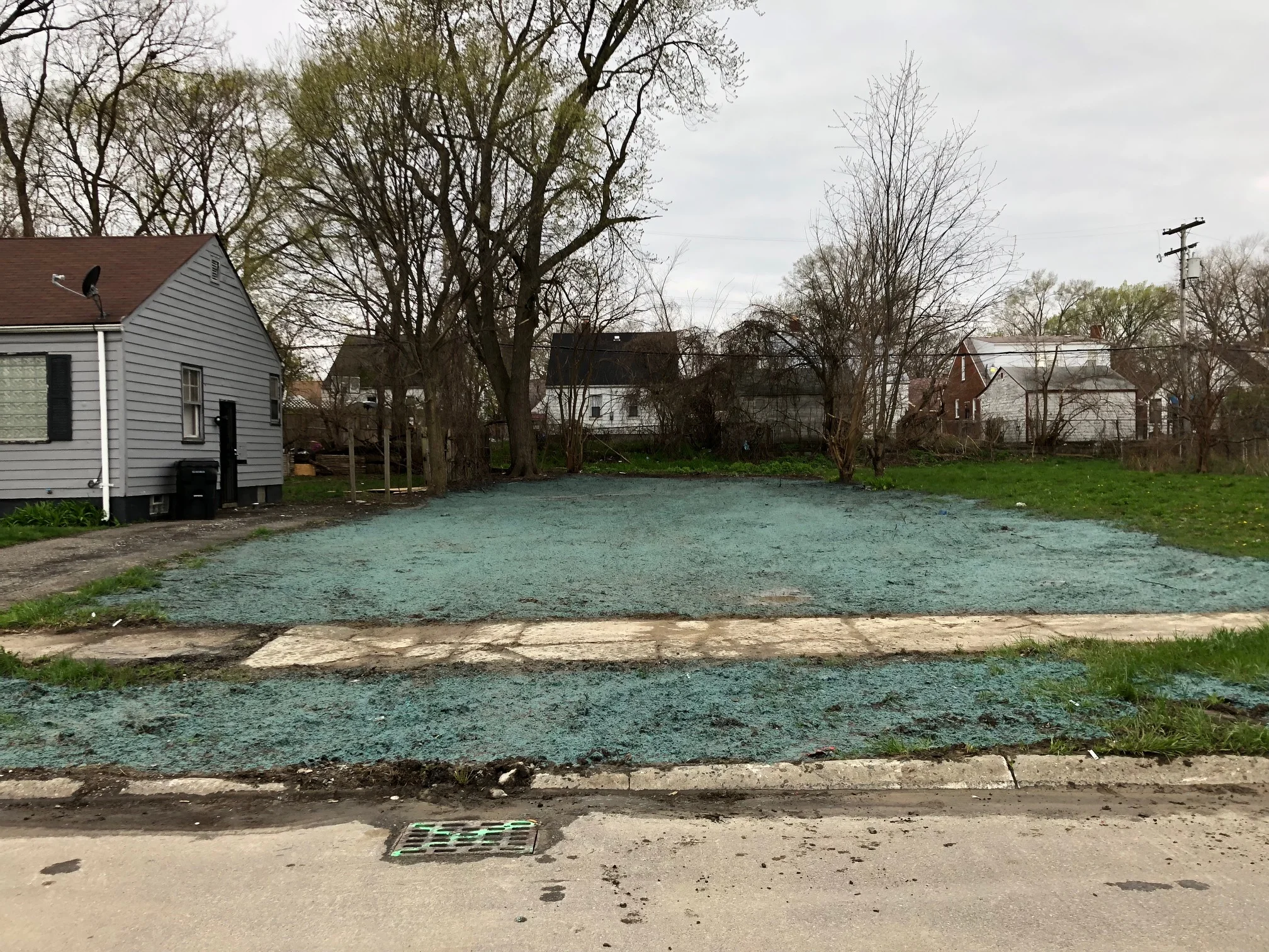 LOT FINALIZATION / HYDROSEEDING While we provide the services of demolition and site grading, we allow the property owner to have the ability to choose to have the lot hydroseeded or straw and seeded after final grade. As we have the leading brand in equipment to get your lot ready for vegetation growth immediately, it will cost less than actual sod, but you will see growth within a week with proper maintenance. . Hydroseeding allows us to complete a large commercial lot or a residential lot in a very short period of time.