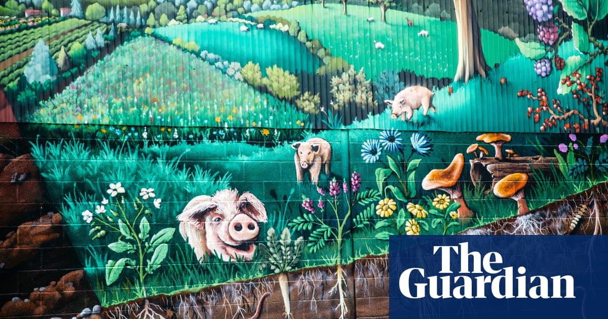 Shedloads of colour: how a move away from grey buildings could help farmers’ mental health