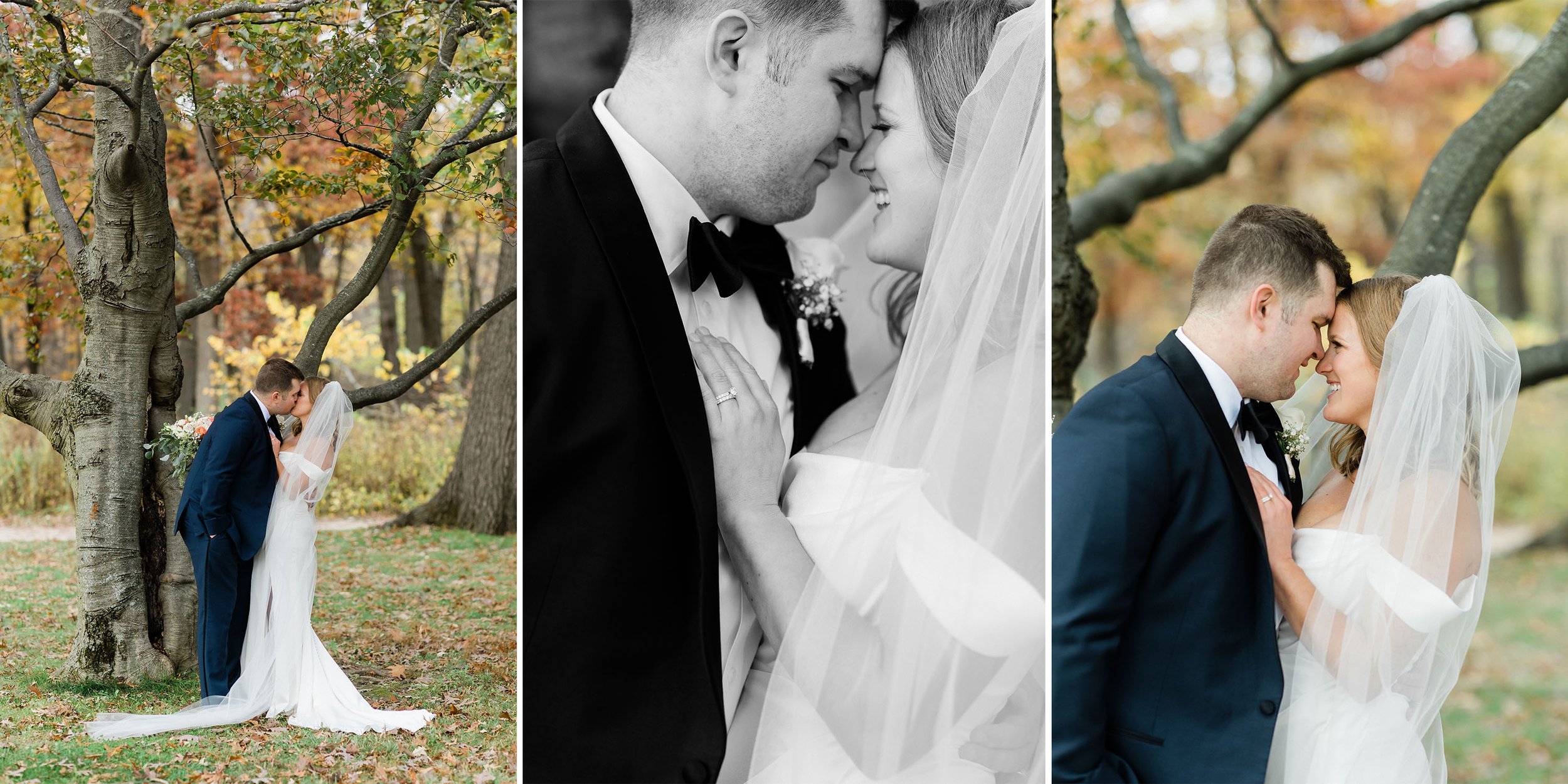 Bridal portraits at St. James Farm Forest Preserve