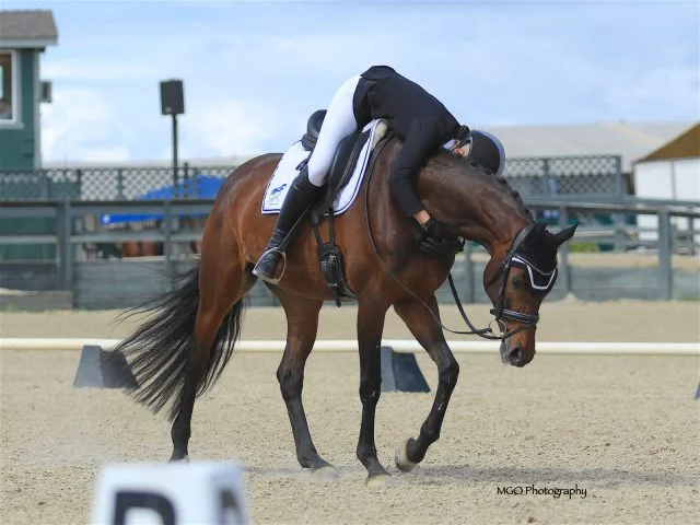 Photo courtesy of MGO Photography.