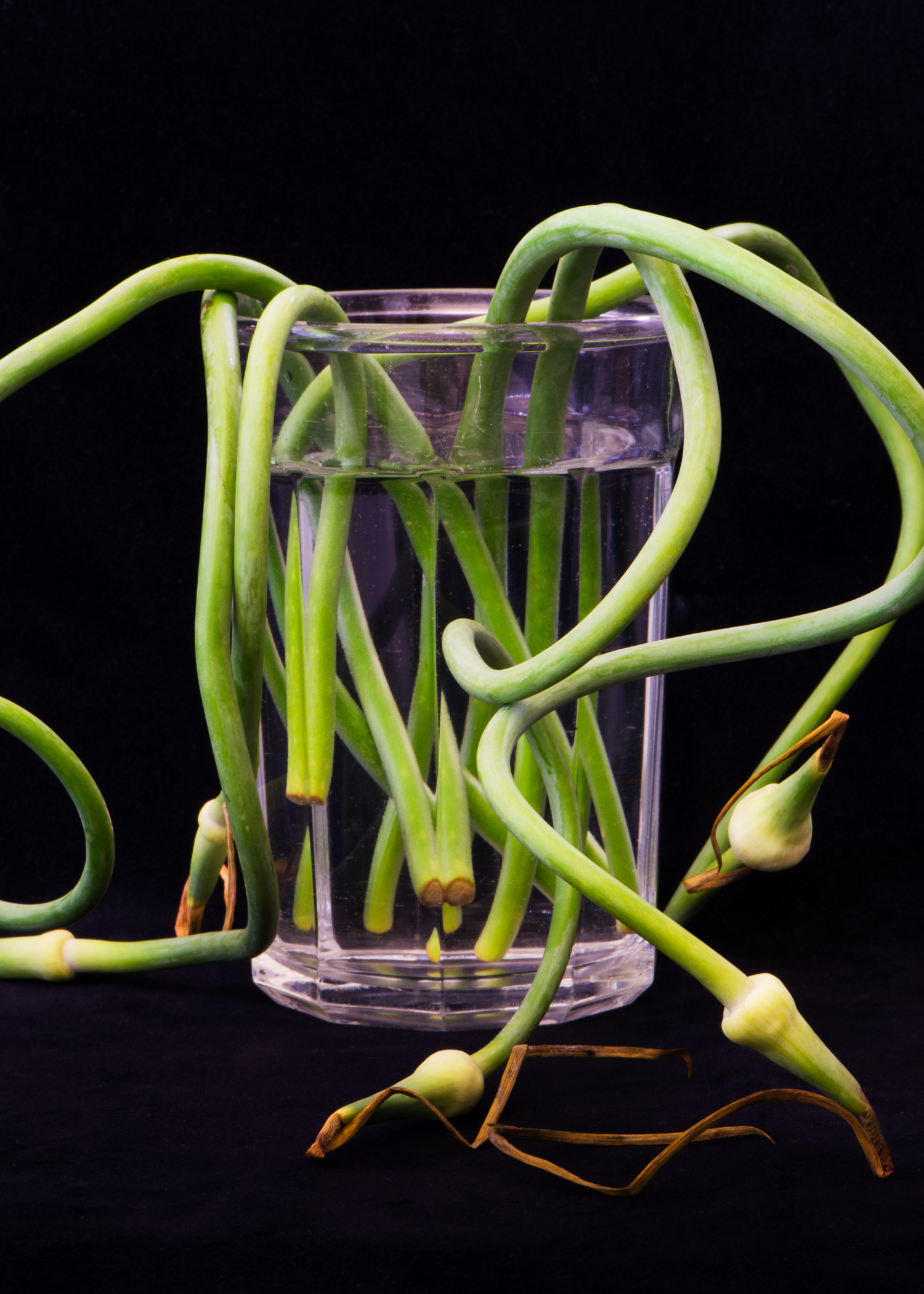 Scapes in Water Glass