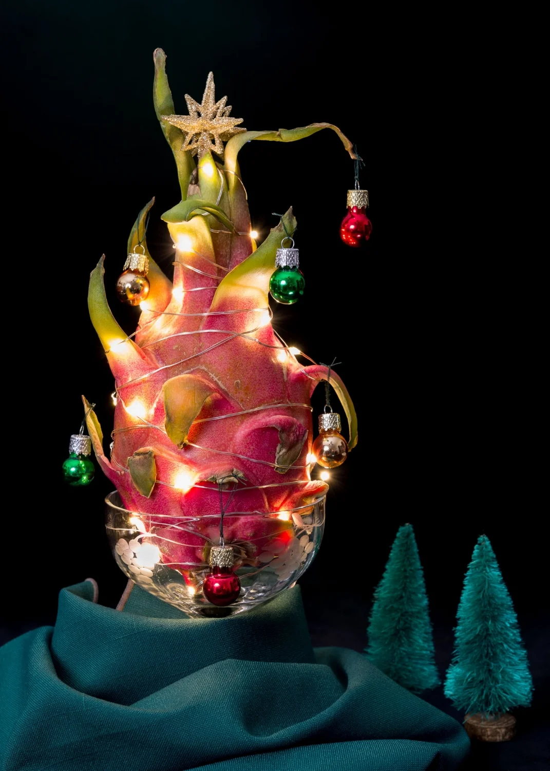 Dragon Fruit Christmas