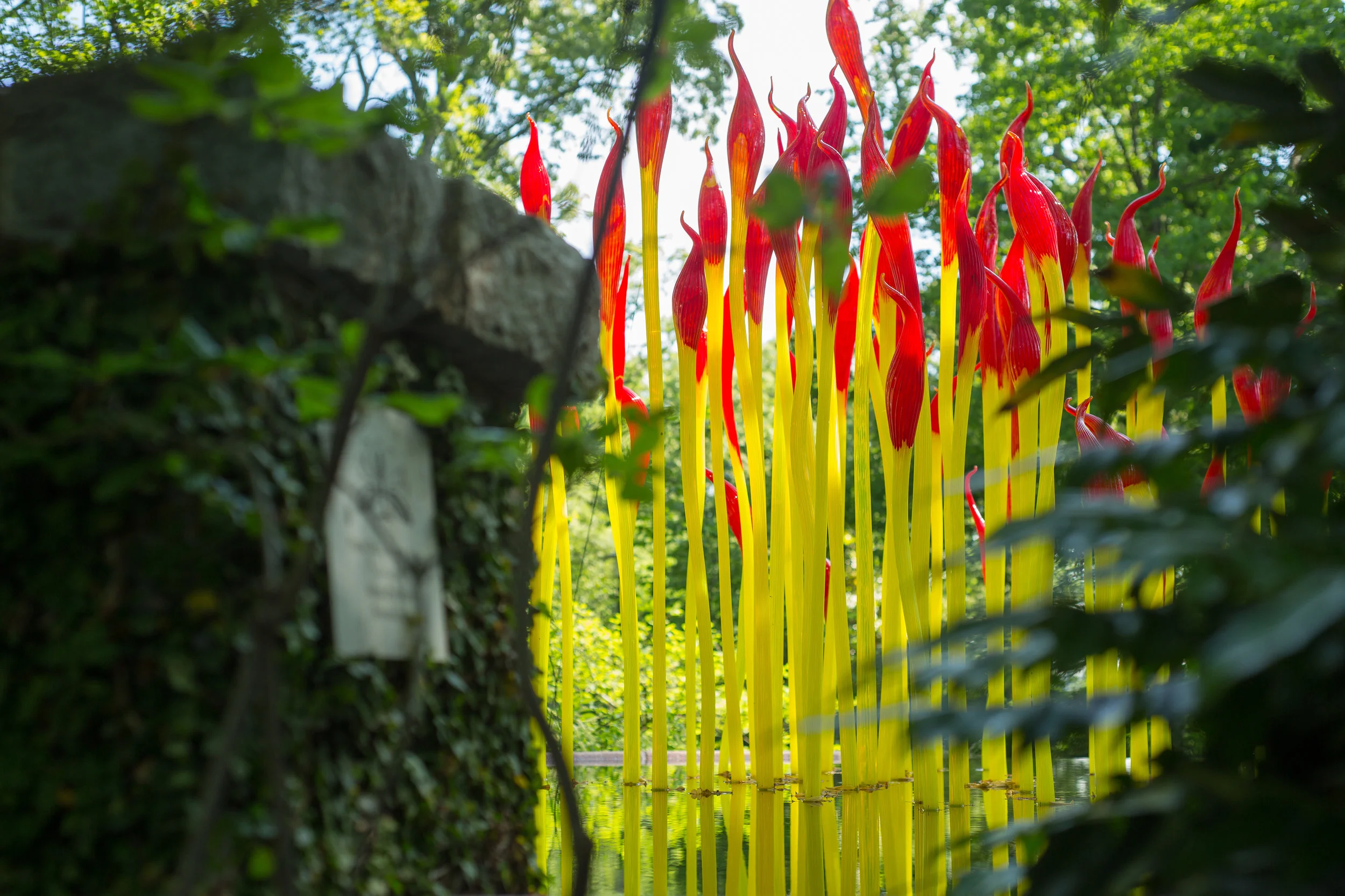 Chihuly-0484.jpg