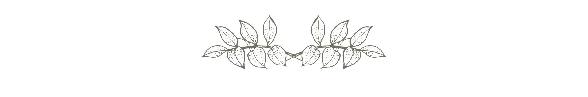 Leaf_2.png