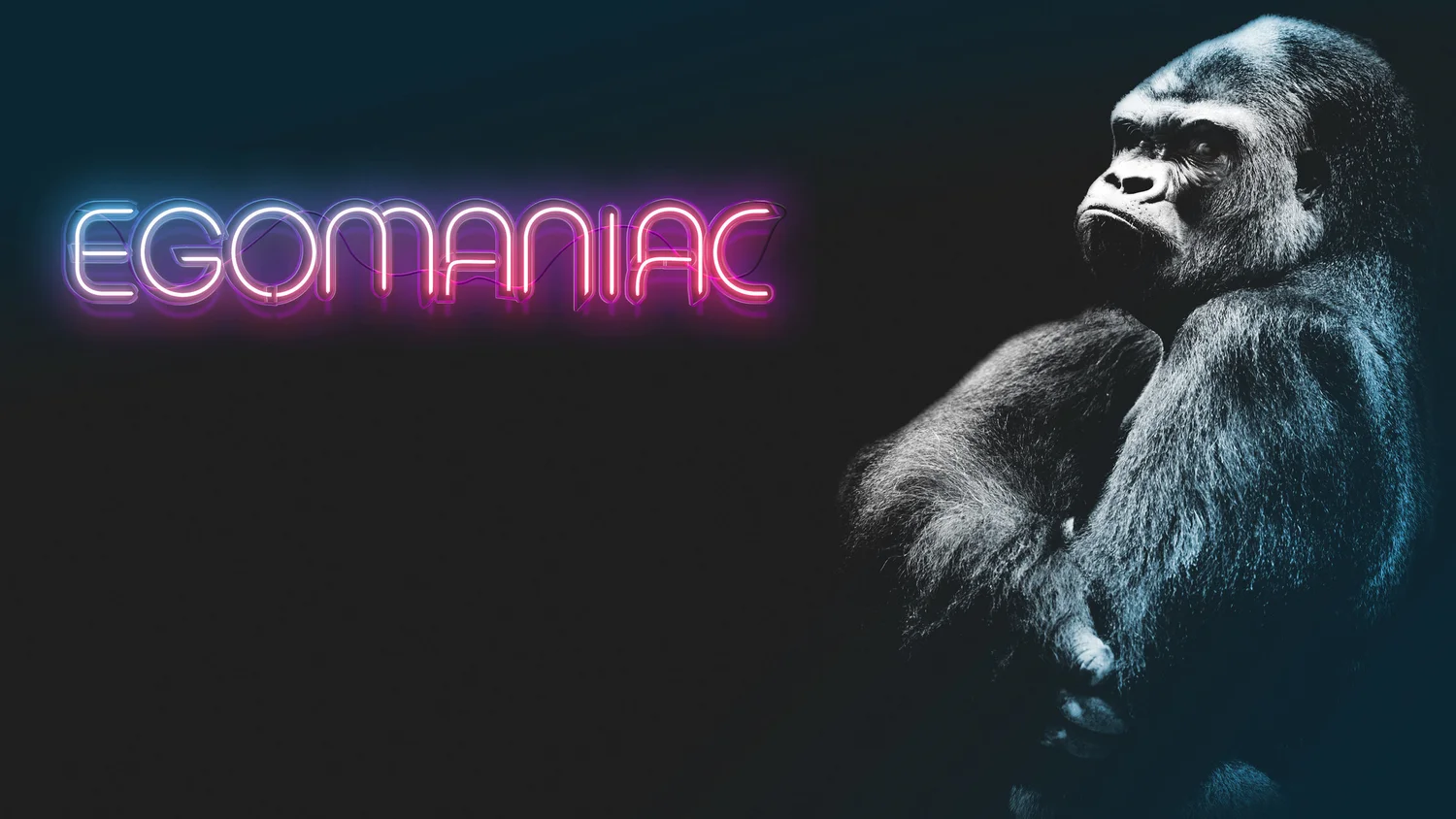 The Front Lounge w/ KONGOS