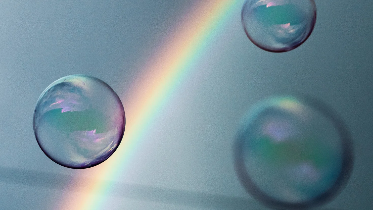 The Front Lounge w/ KONGOS