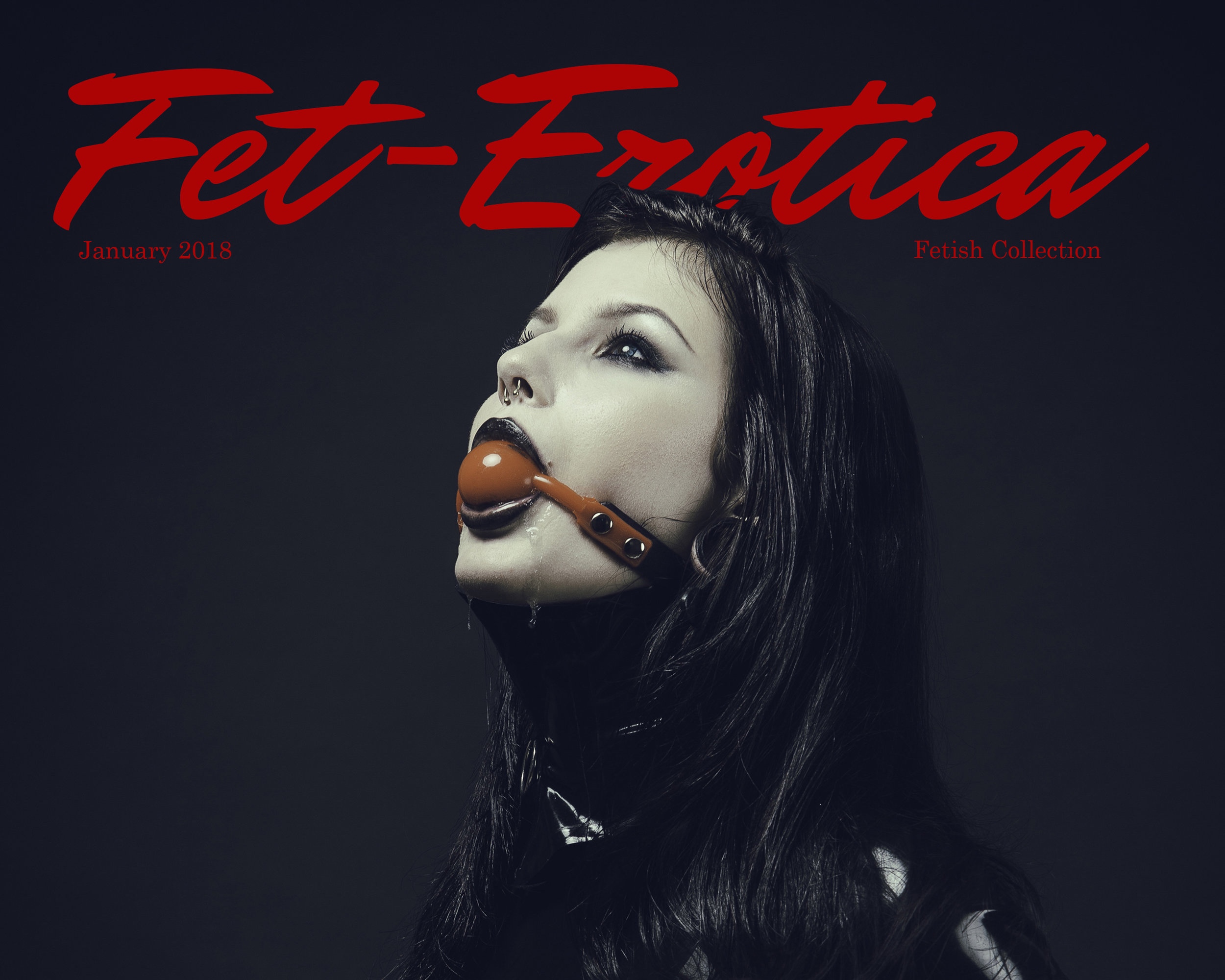 Fetish+Cover+issue+13.jpg