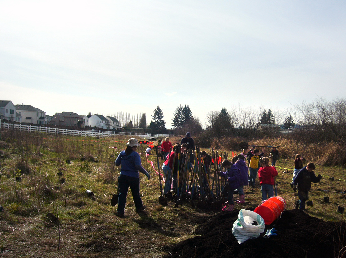 Planting at Banks 