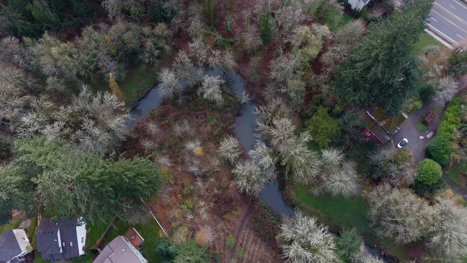 Beaverton Creek Quatama Tree For All