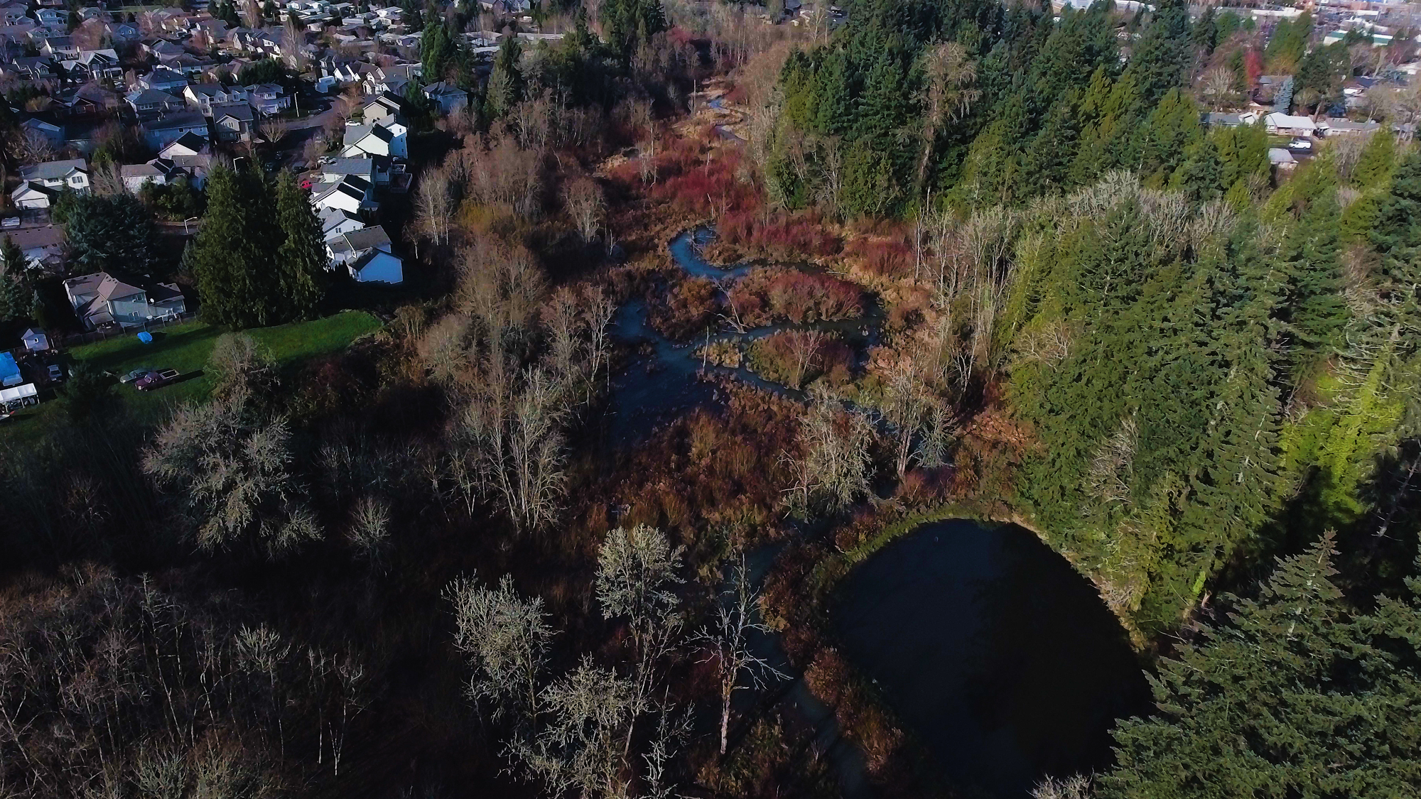CEDAR CREEK