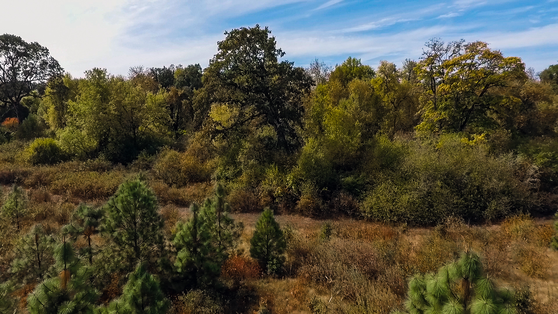  The character of a neighborhood has a significant effect on residents' physical activity. People in communities with abundant greenspace generally enjoy better health 