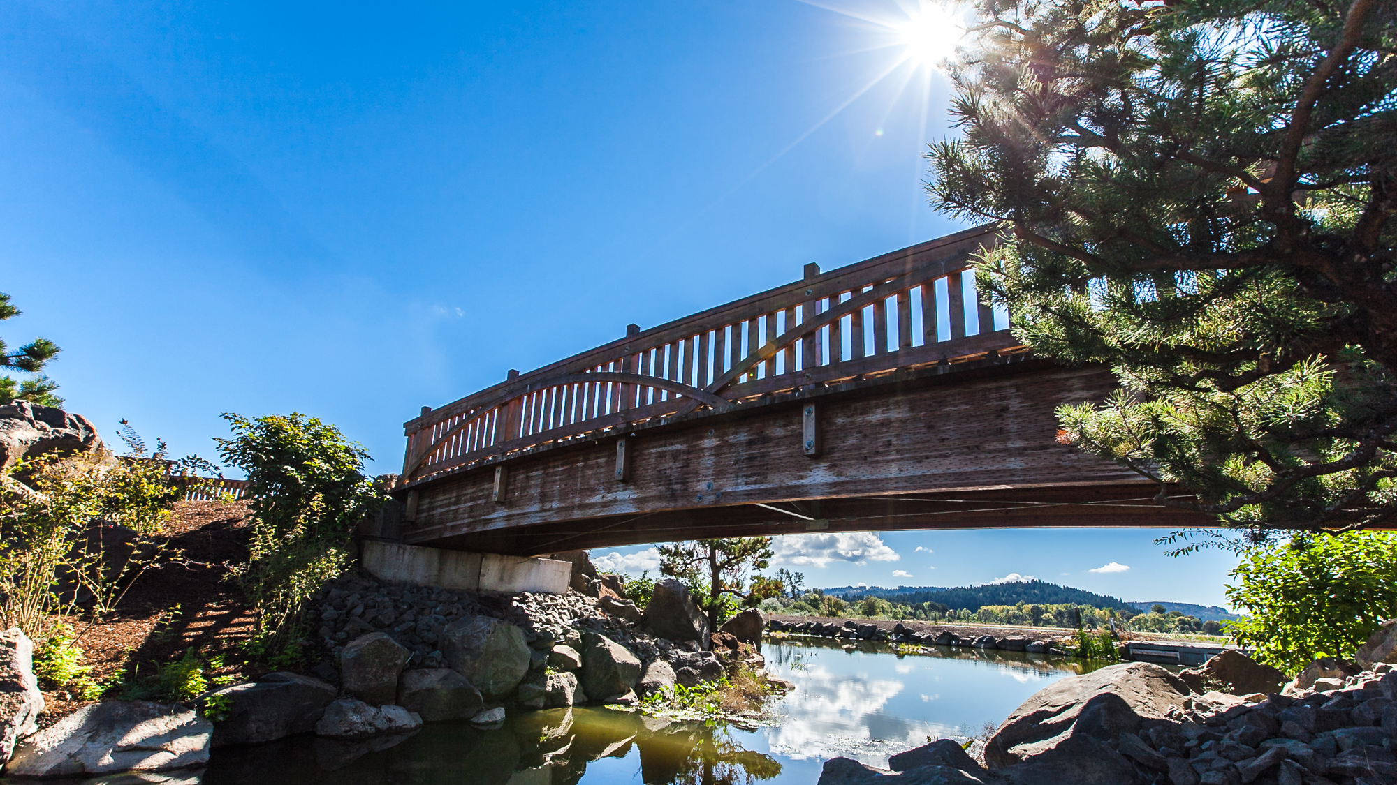  Residents of areas with the highest levels of greenery were three times as likely to be physically active and 40% less likely to be overweight or obese than those living in the least green settings. 