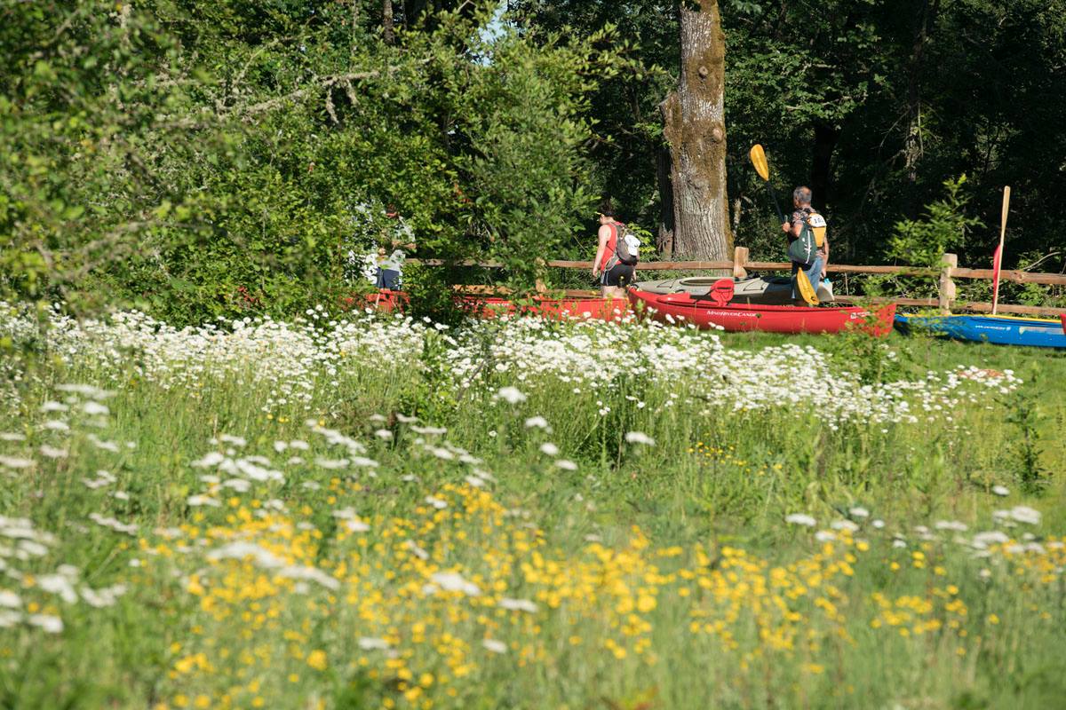 Native plants create habitat and beauty at restoration sites