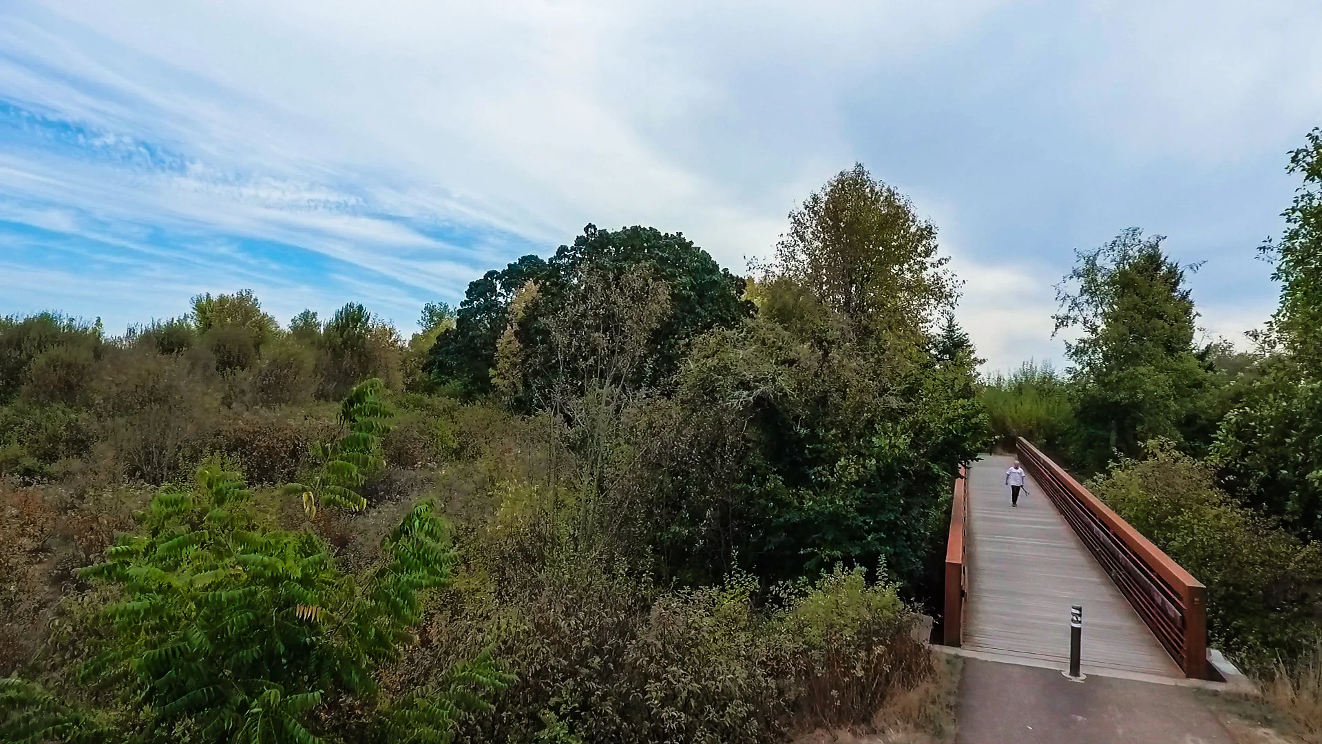 Exposure to nearby nature can effectively reduce stress, particularly if initial stress levels are high. Simply having a view of nature produces recovery benefits.
