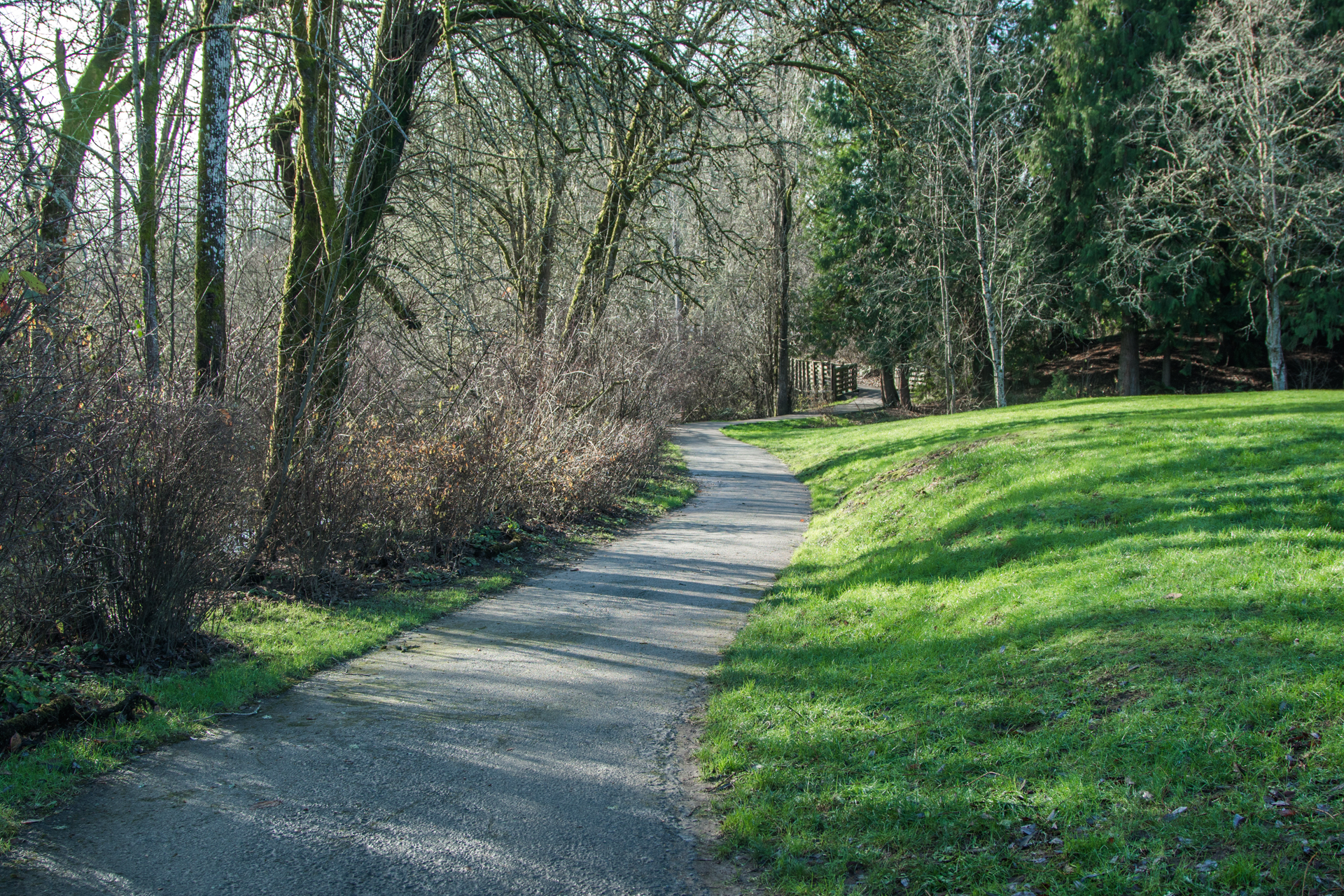  Studies in Japan of 'shinrin-yoku" or "forest bathing" (explain) have found effects of improved immune system response, lowered stress indicators, reduced depression, and lower glucose levels in diabetics. 