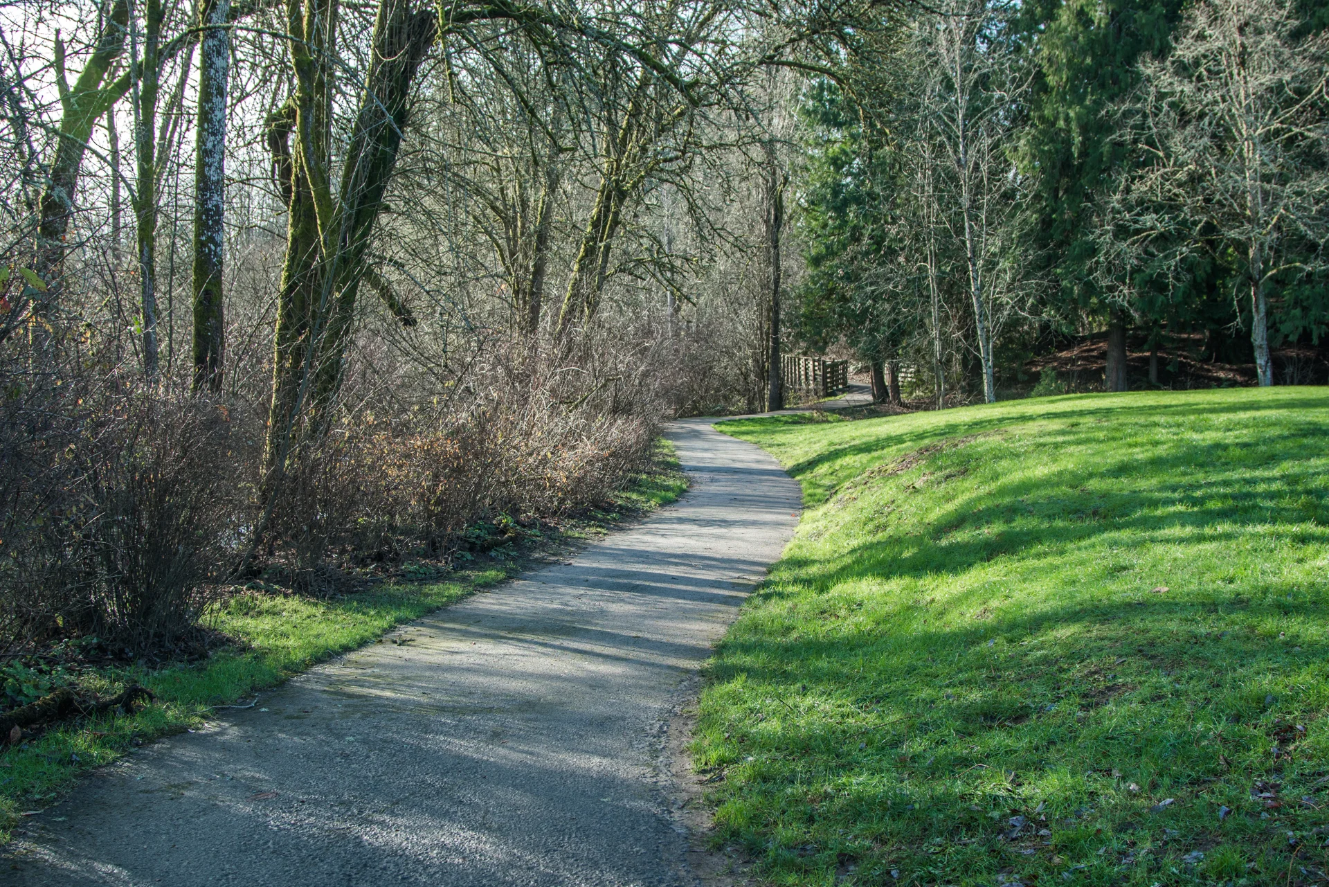 Studies in Japan of 'shinrin-yoku" or "forest bathing" (explain) have found effects of improved immune system response, lowered stress indicators, reduced depression, and lower glucose levels in diabetics.