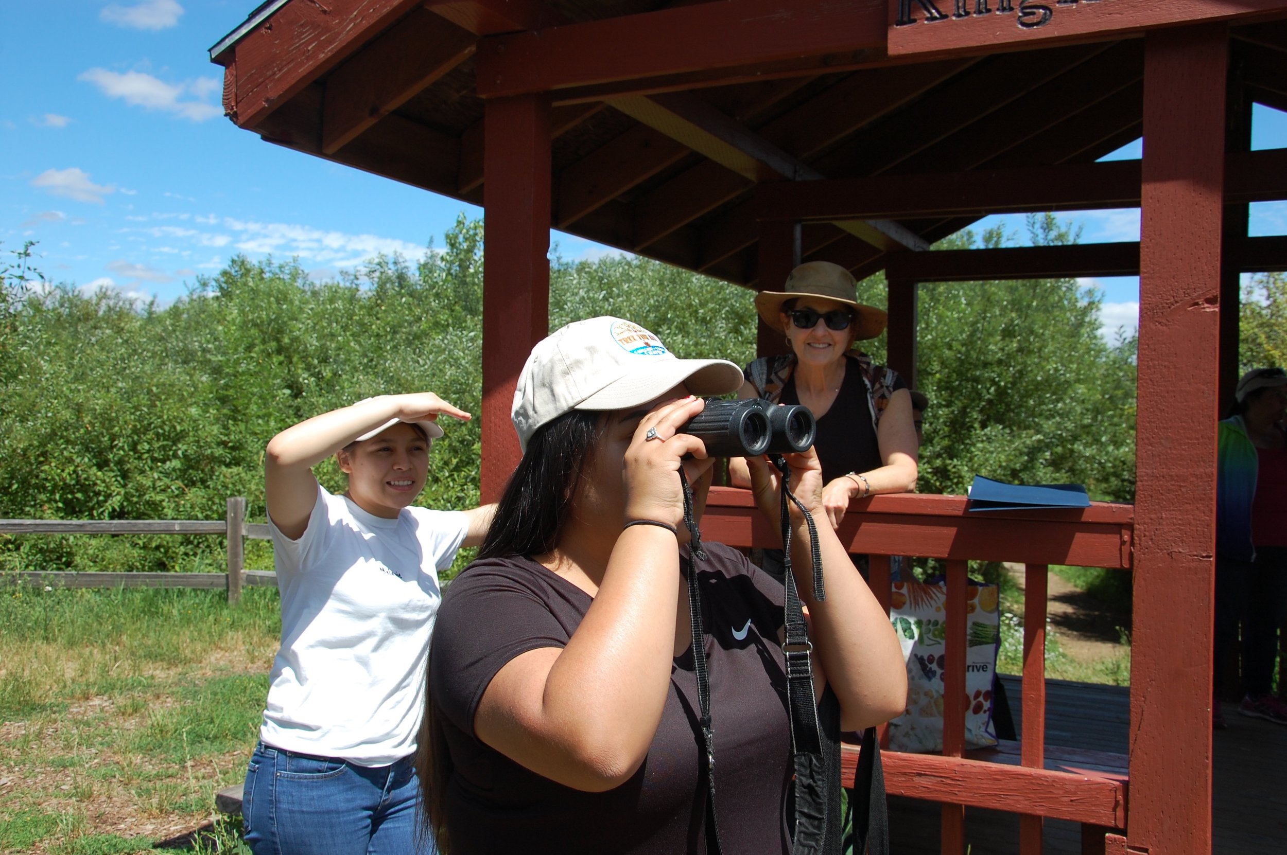  A Bilingual Naturalist, Karla, peers through binoculars at a bald eagle soaring above Fernhill Lake while others cool off in the shade. 