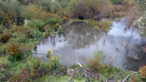 Fanno Creek