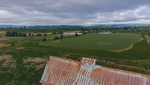 Spring-Hill-Thumbnail.jpg