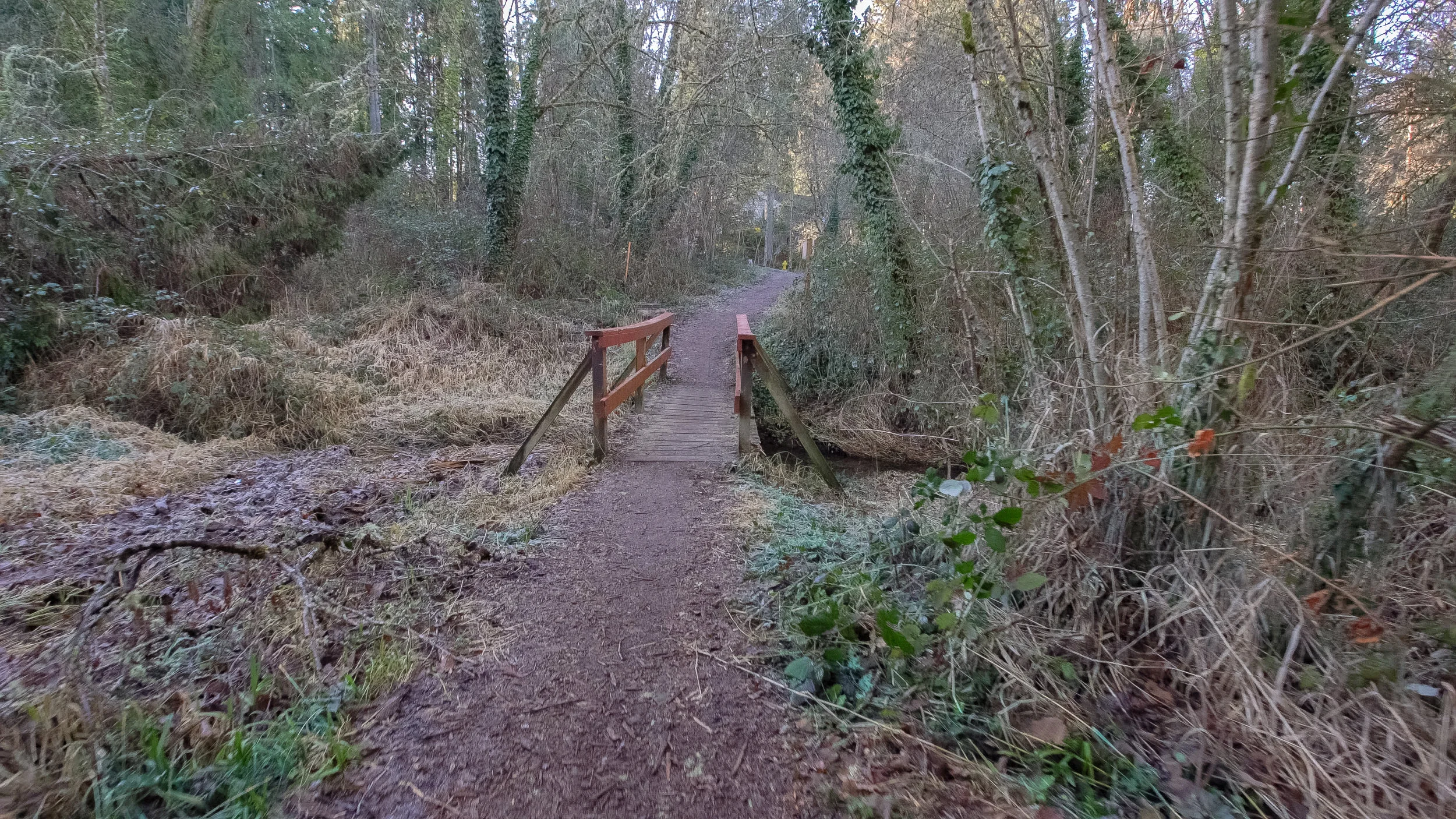 A network of walking paths winds through Jackson School Woods and the City of Hillsboro Natural Area, providing residents with an active transportation option for some of their neighborhood trips.