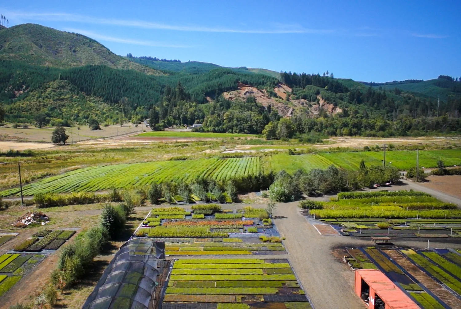SchollsValleyNursery-1.jpg