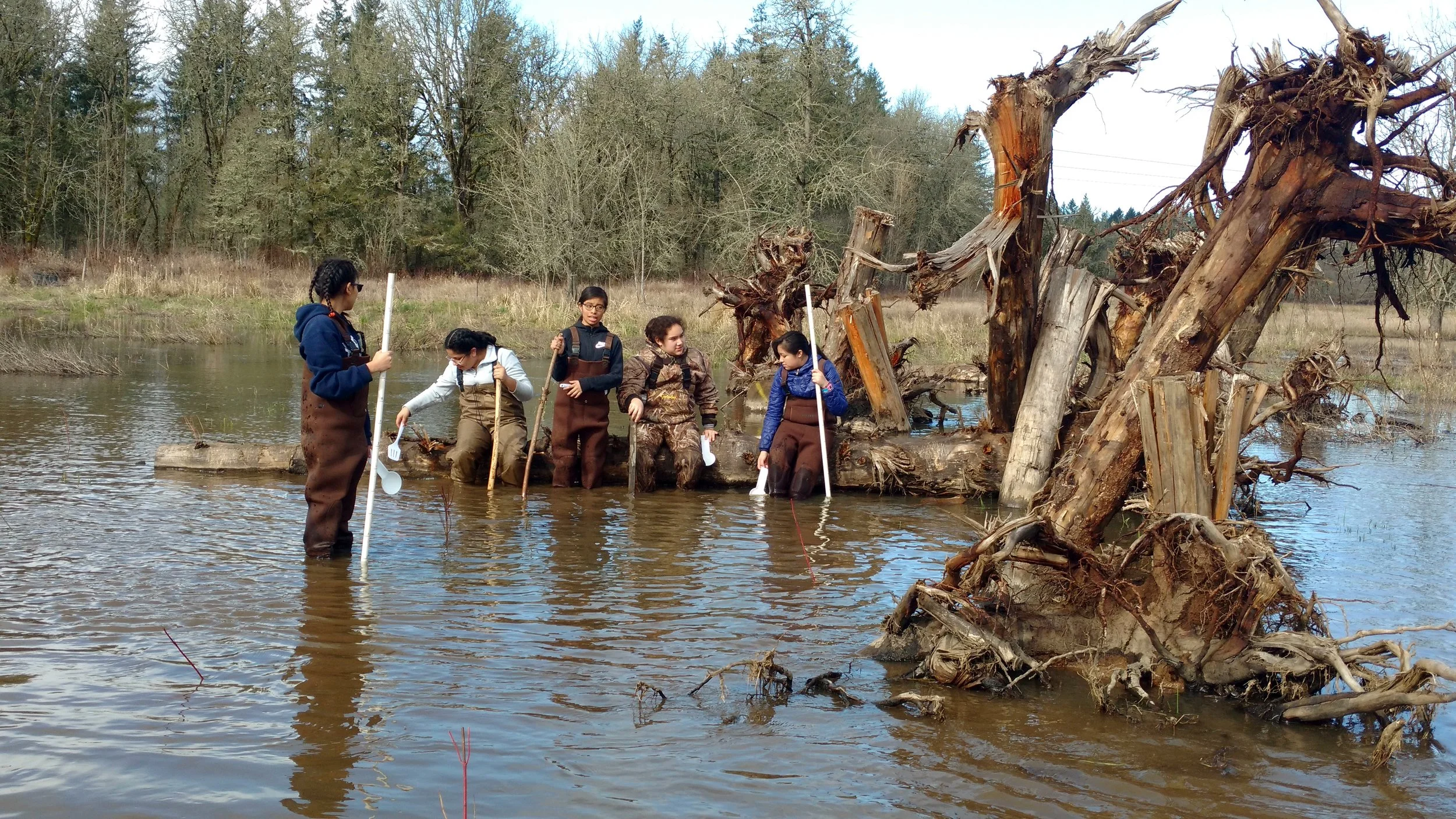 Amphibian Habitat Lends Itself to Community Science Project