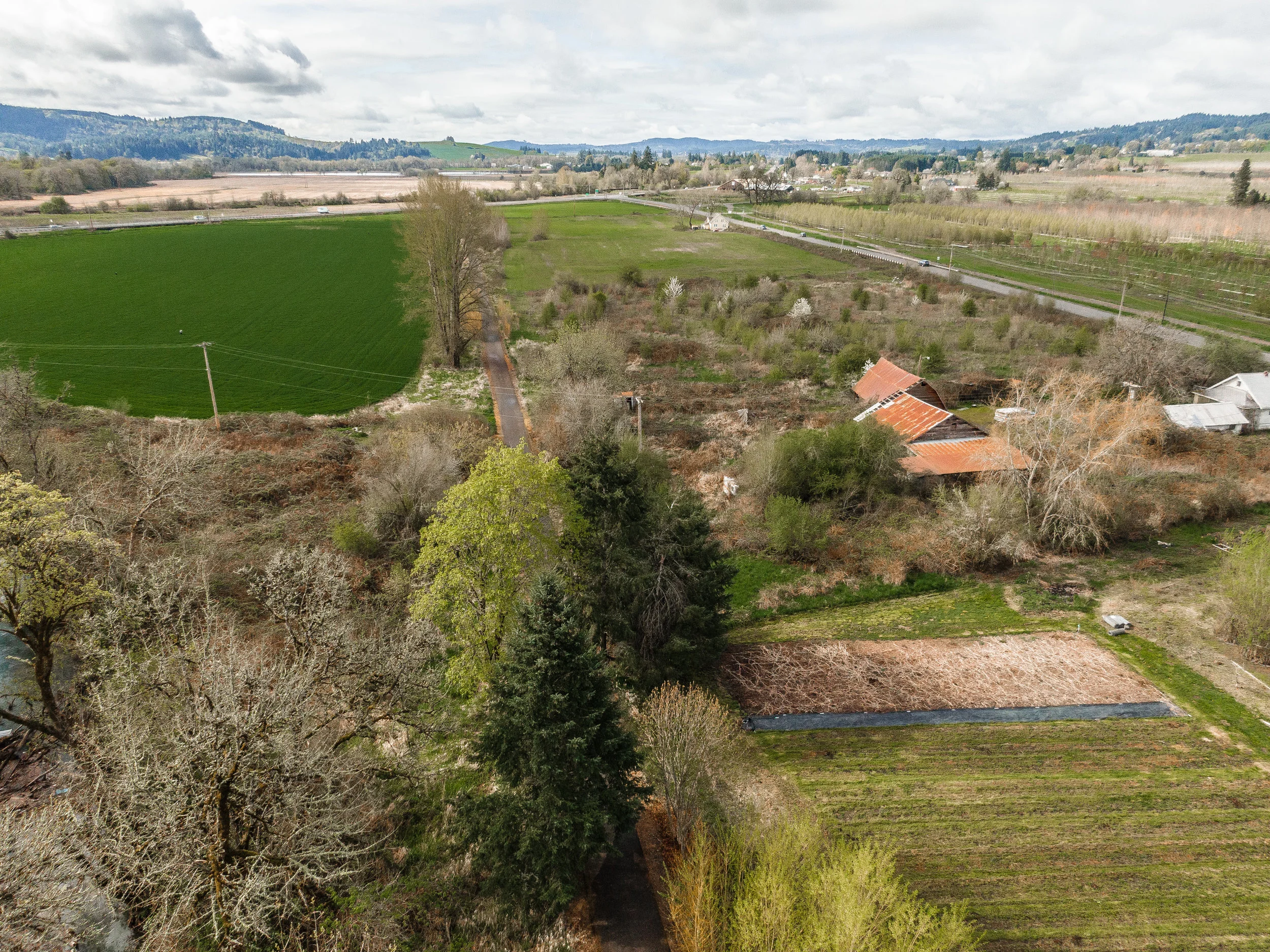 The B St trail is a popular destination, easily accessible from Forest Grove yet not far from farms and the foothills of the Coast Range.