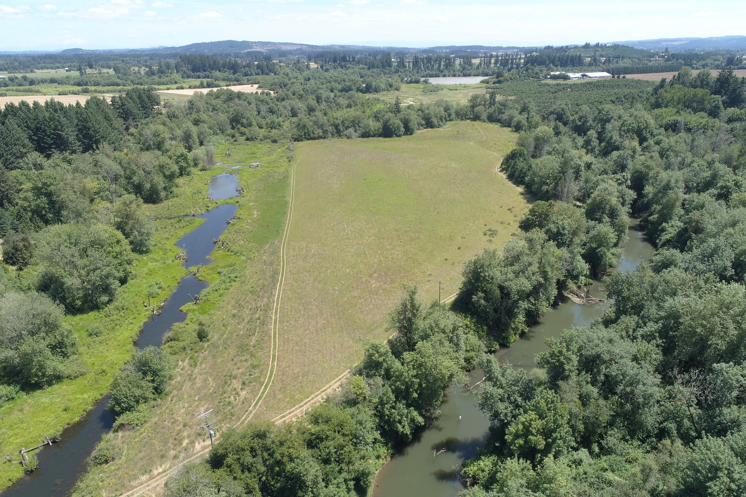 The Tualatin River Farm includes more than half a mile of riparian corridor.