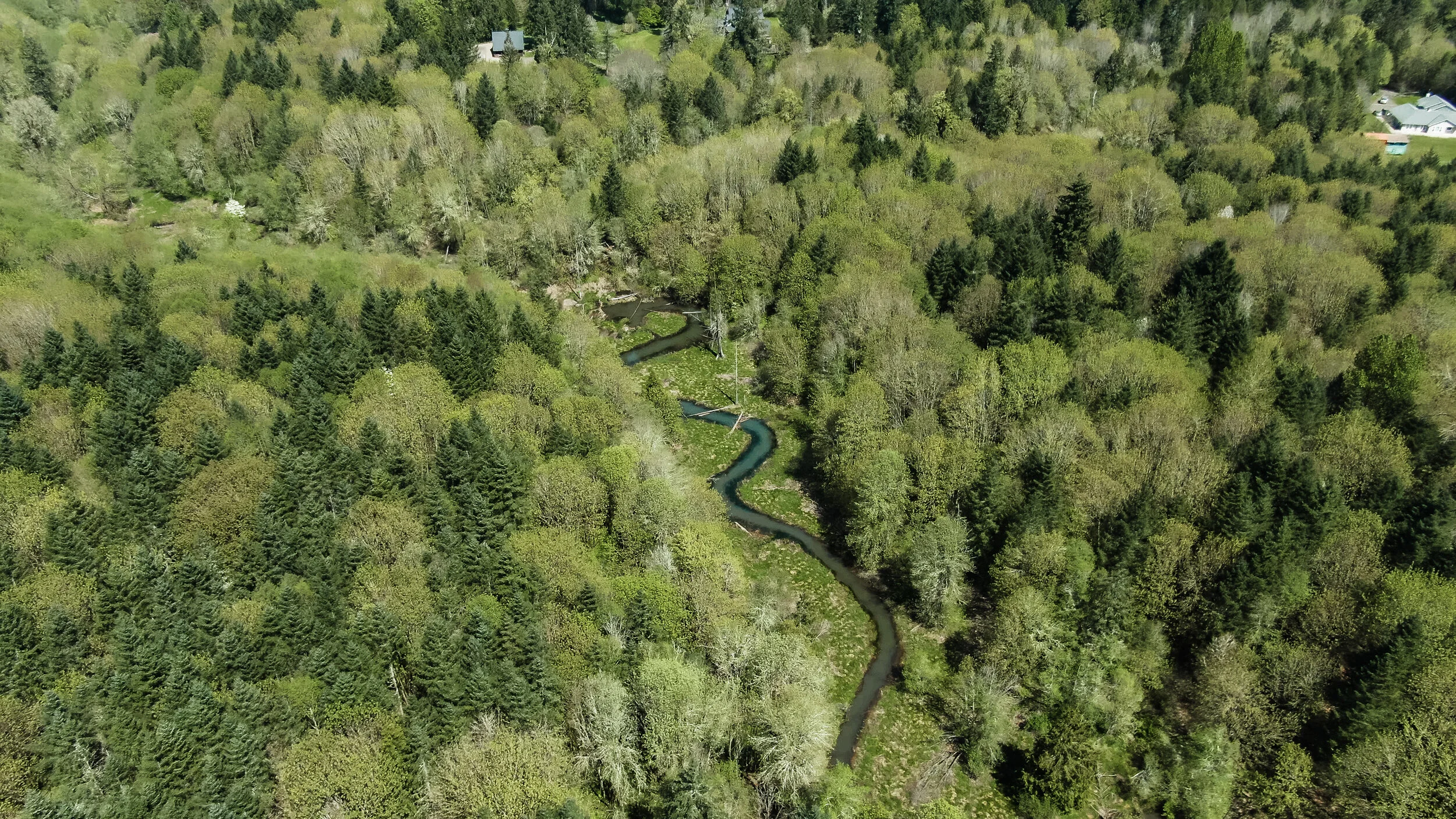 Baker Creek runs through a lightly populated area.