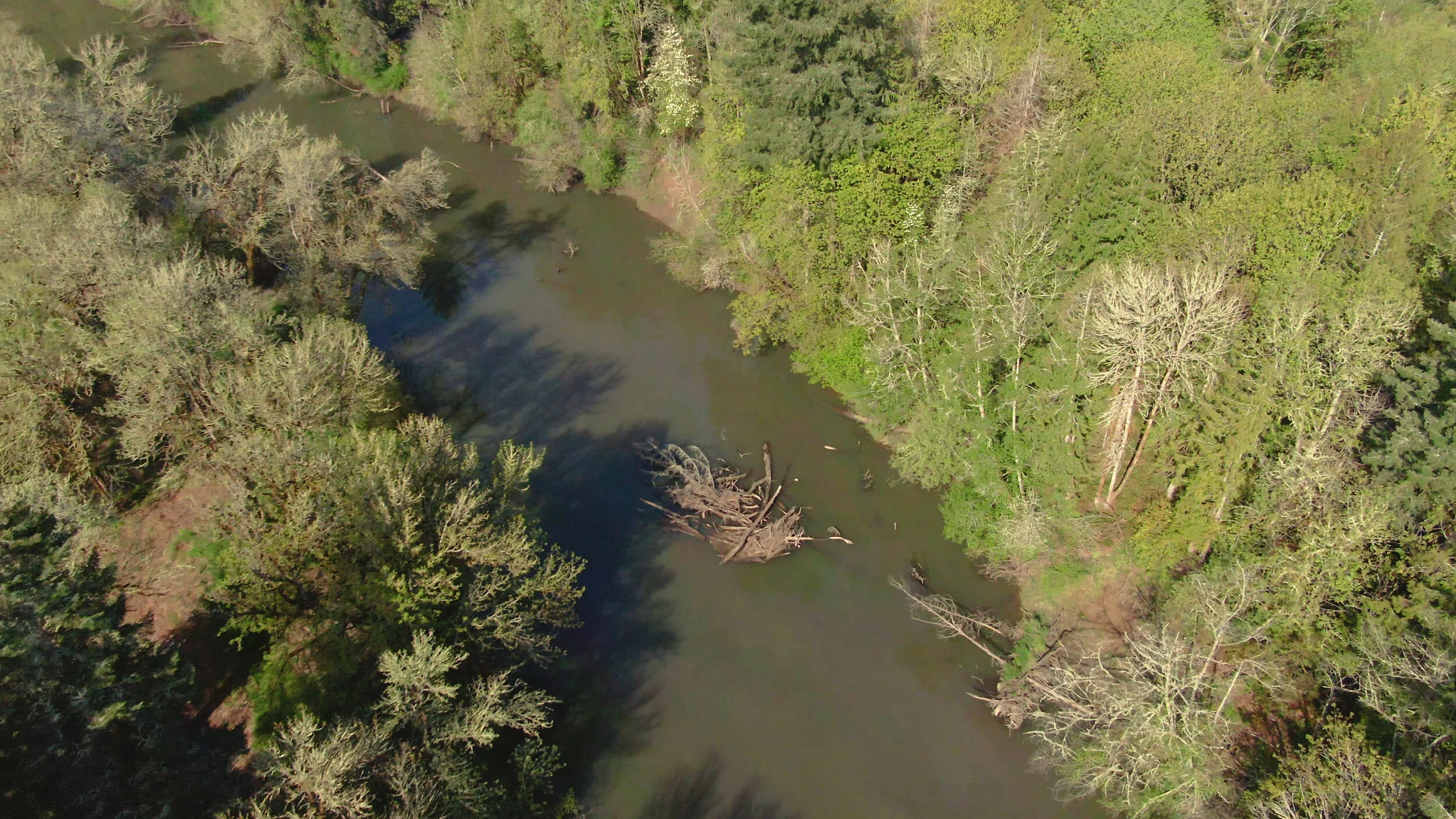 Beef Bend Header.jpg