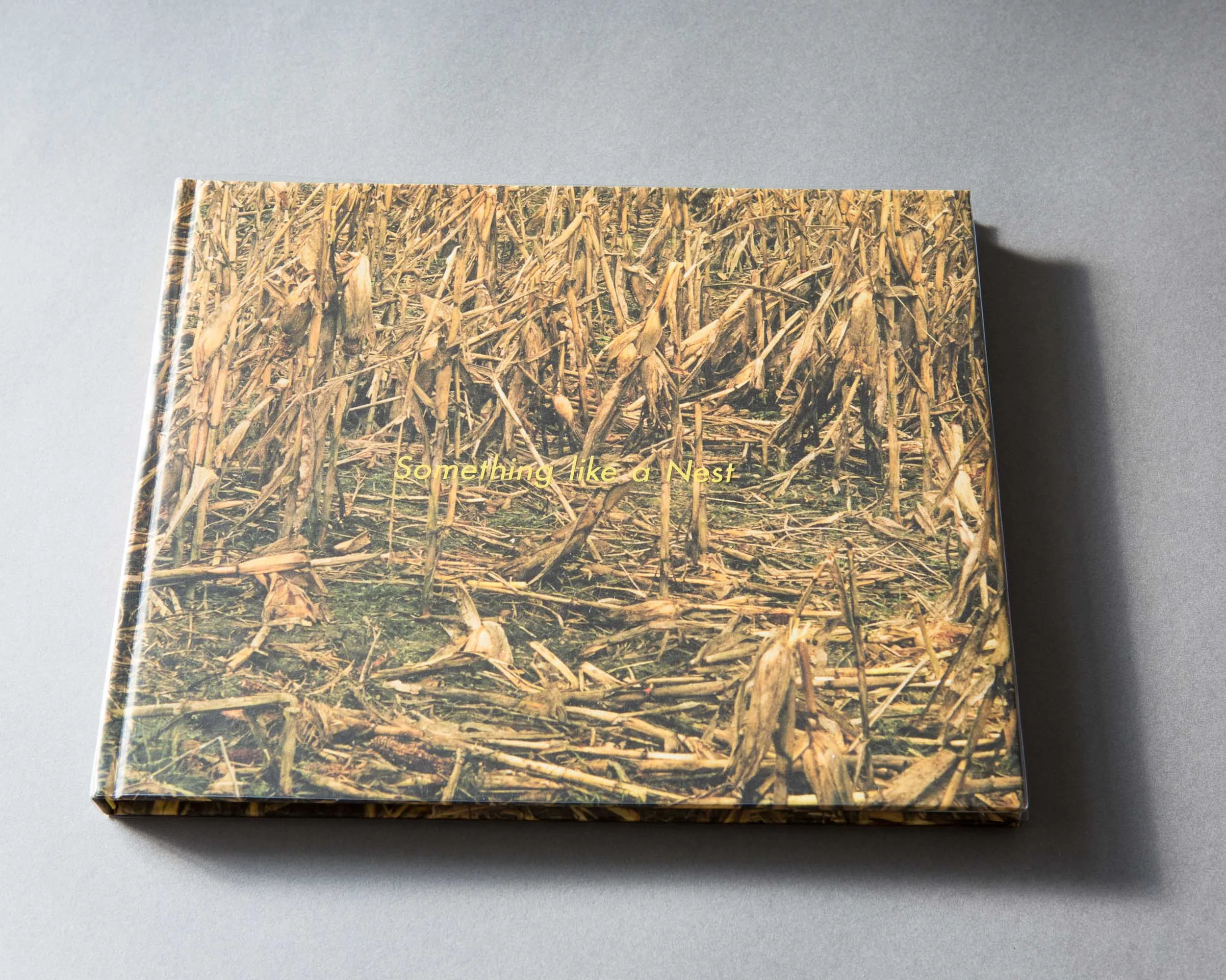 Something like a Nest