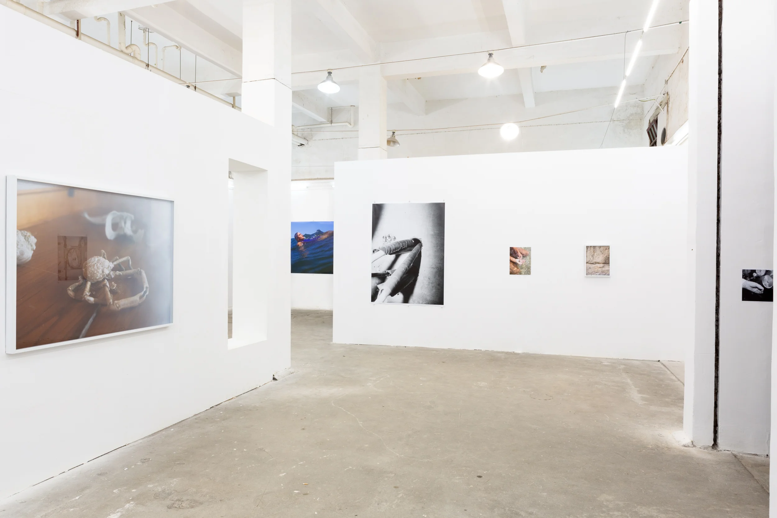  Exhibition, Lianzhou China. 