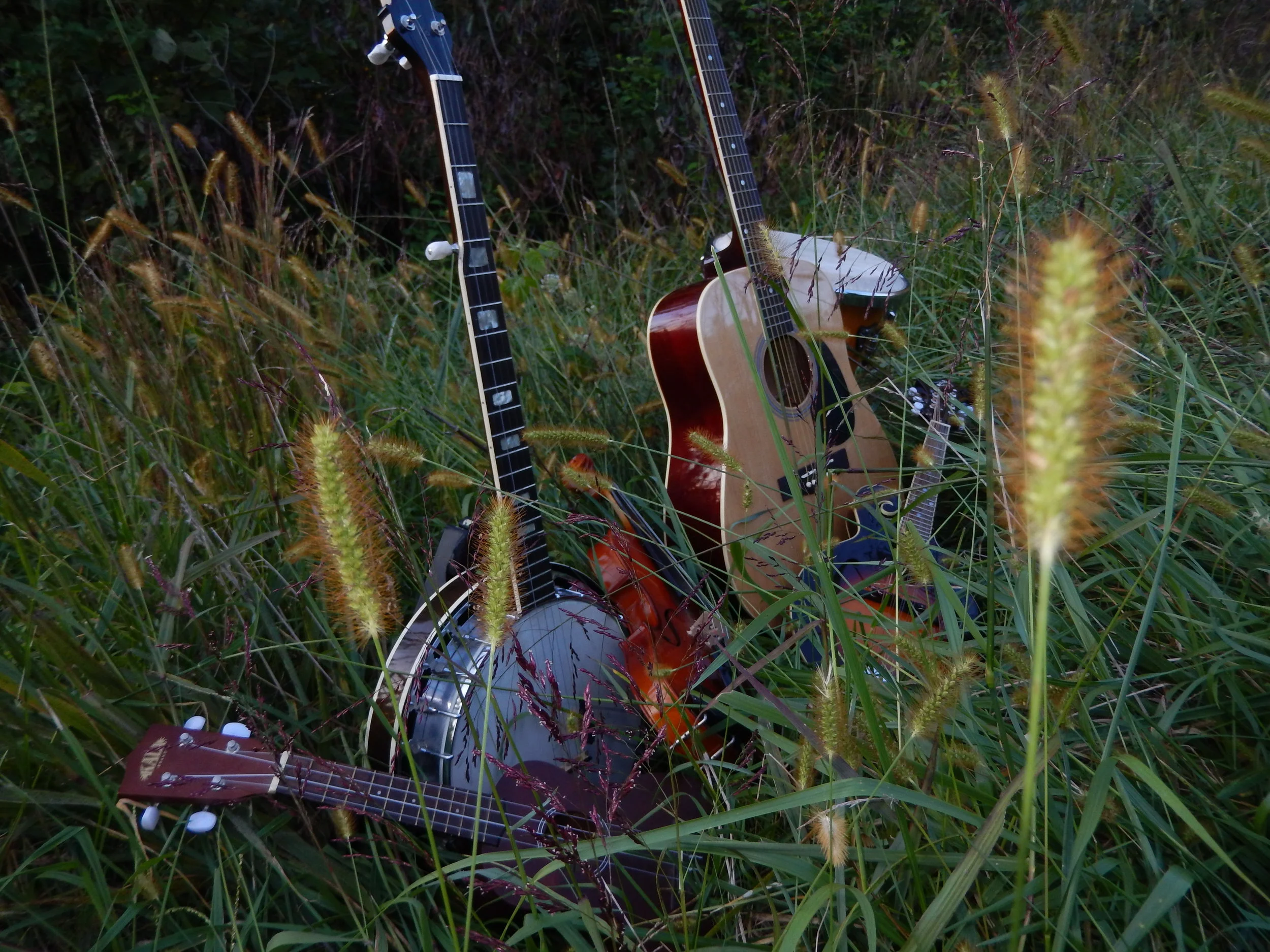 Instruments in Weeds 3.JPG