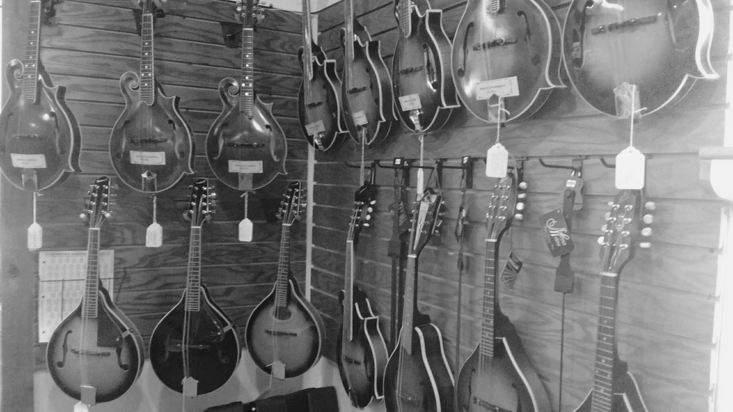 Mandolins — A unique music store in Brown County, Indiana!