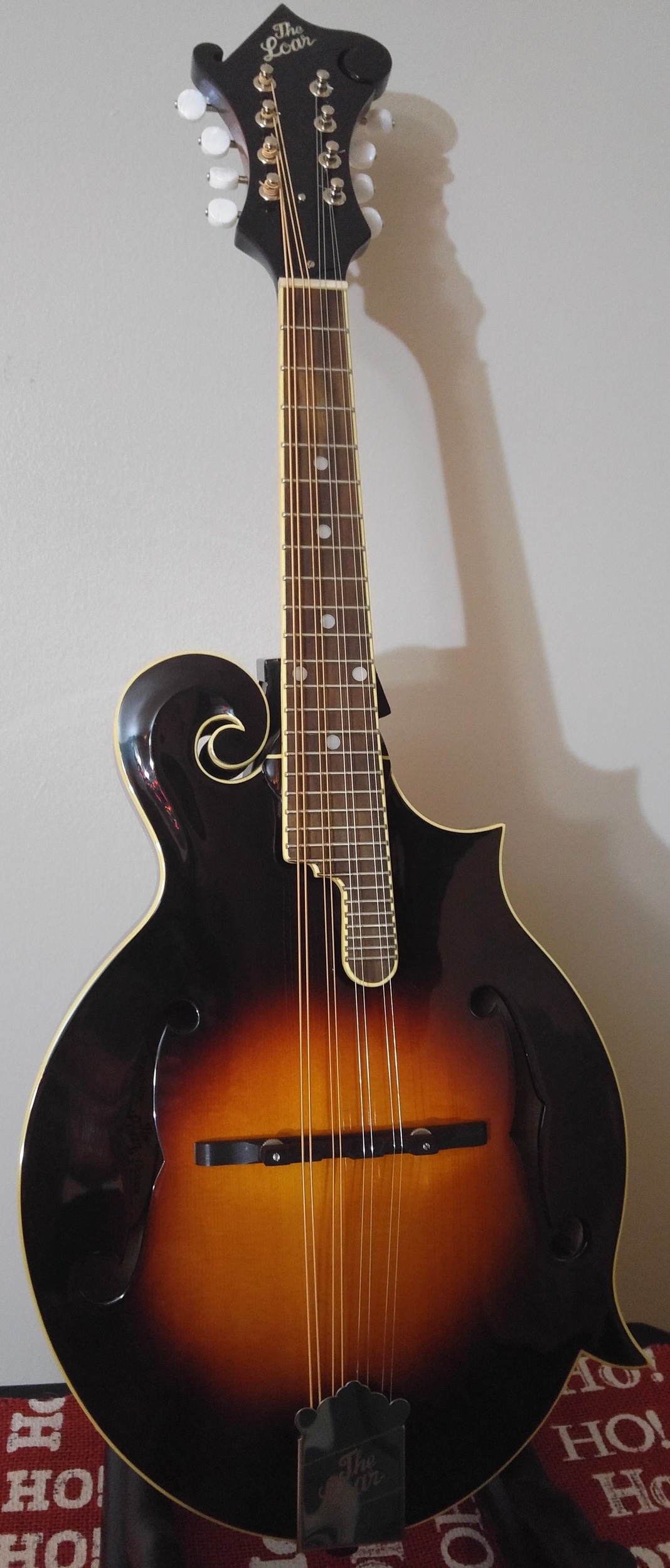 Loar LM590 - front.jpg