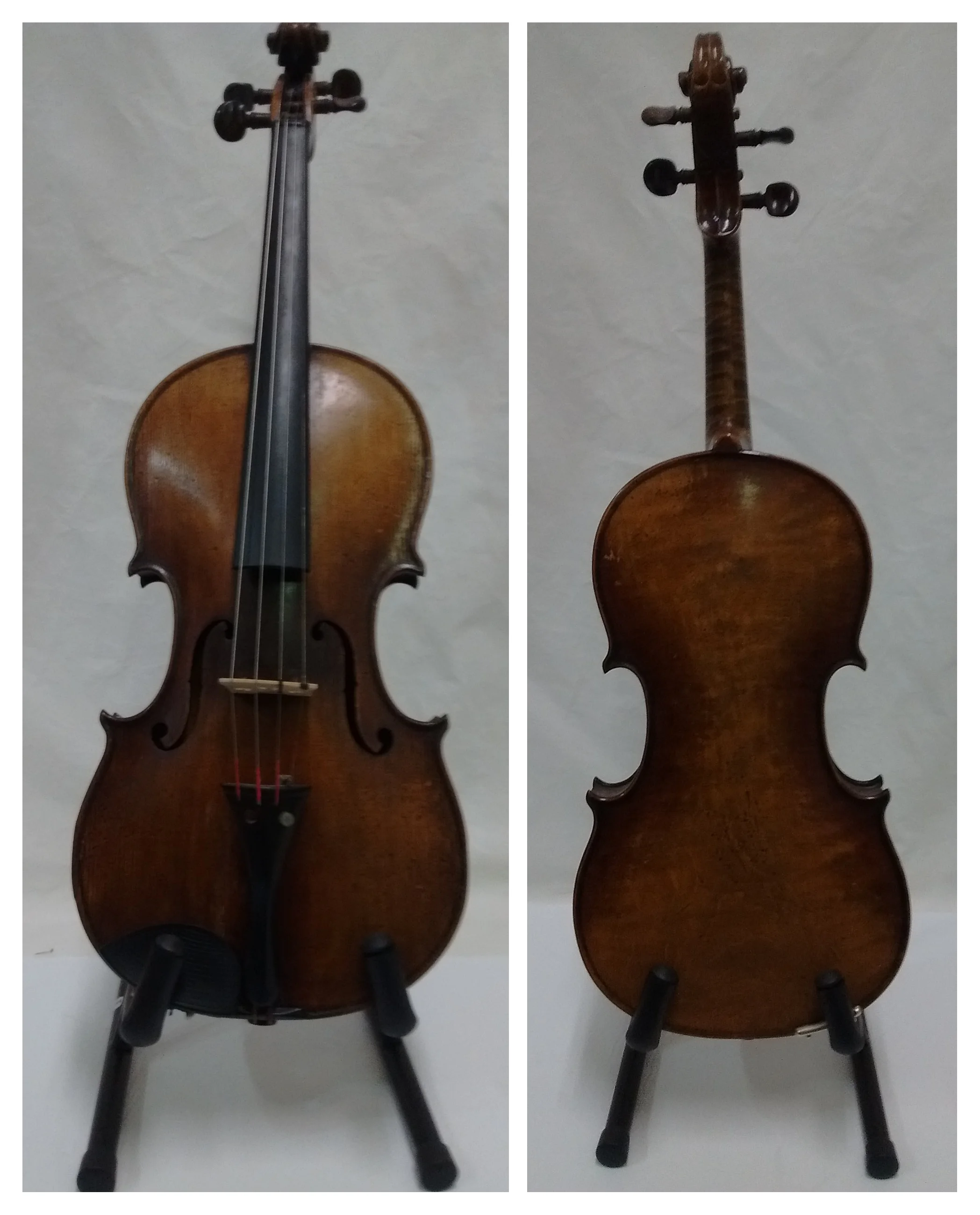 AmatusFiddle-FrontandBack.jpg