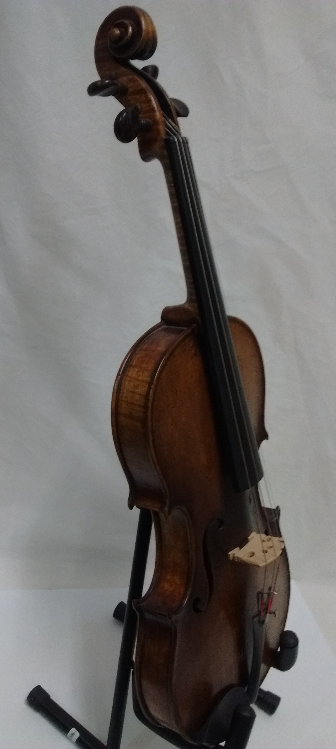 AmatusFiddle-SideView.jpg
