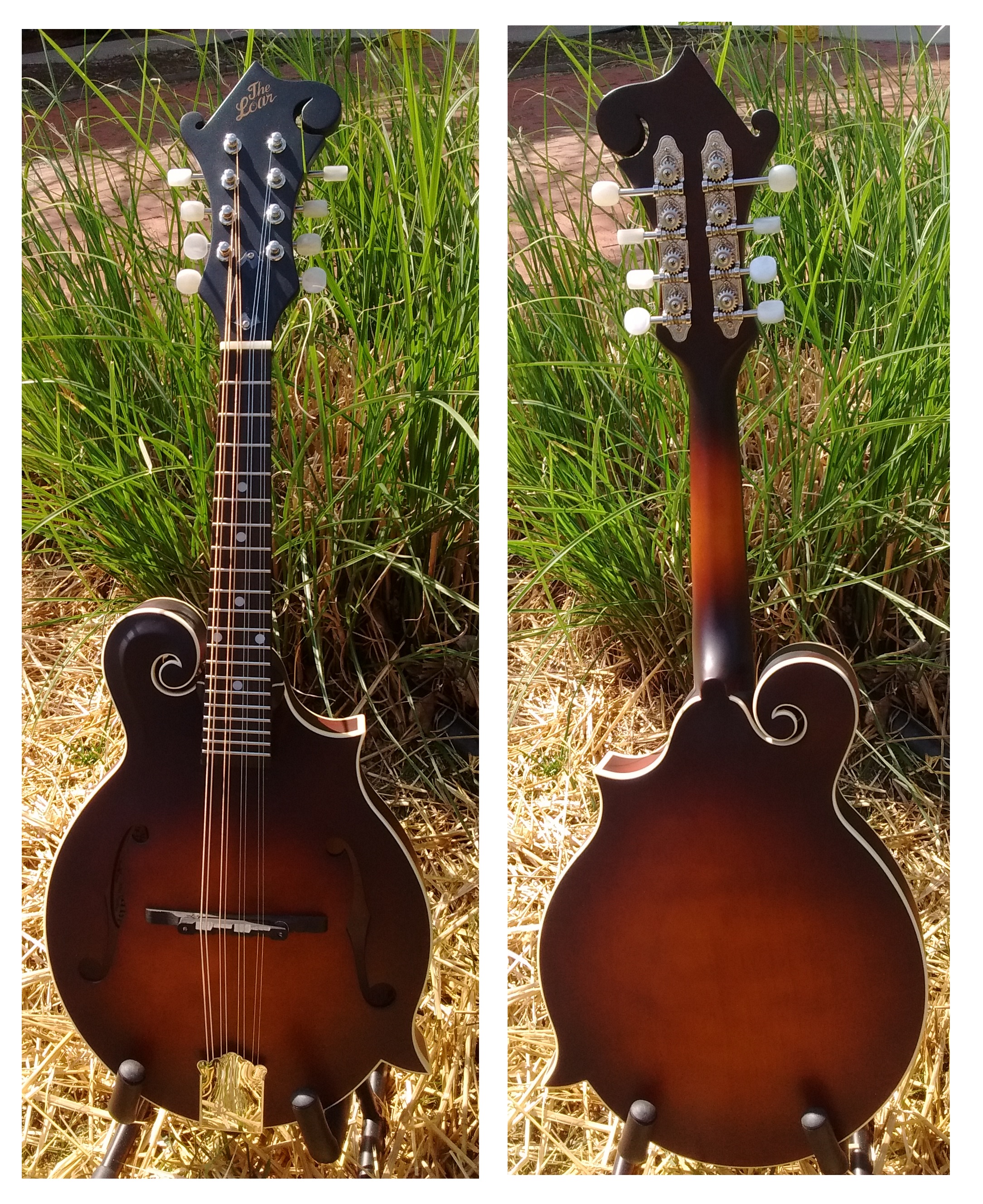 The Loar LM-310F Honey Creek Mandolin