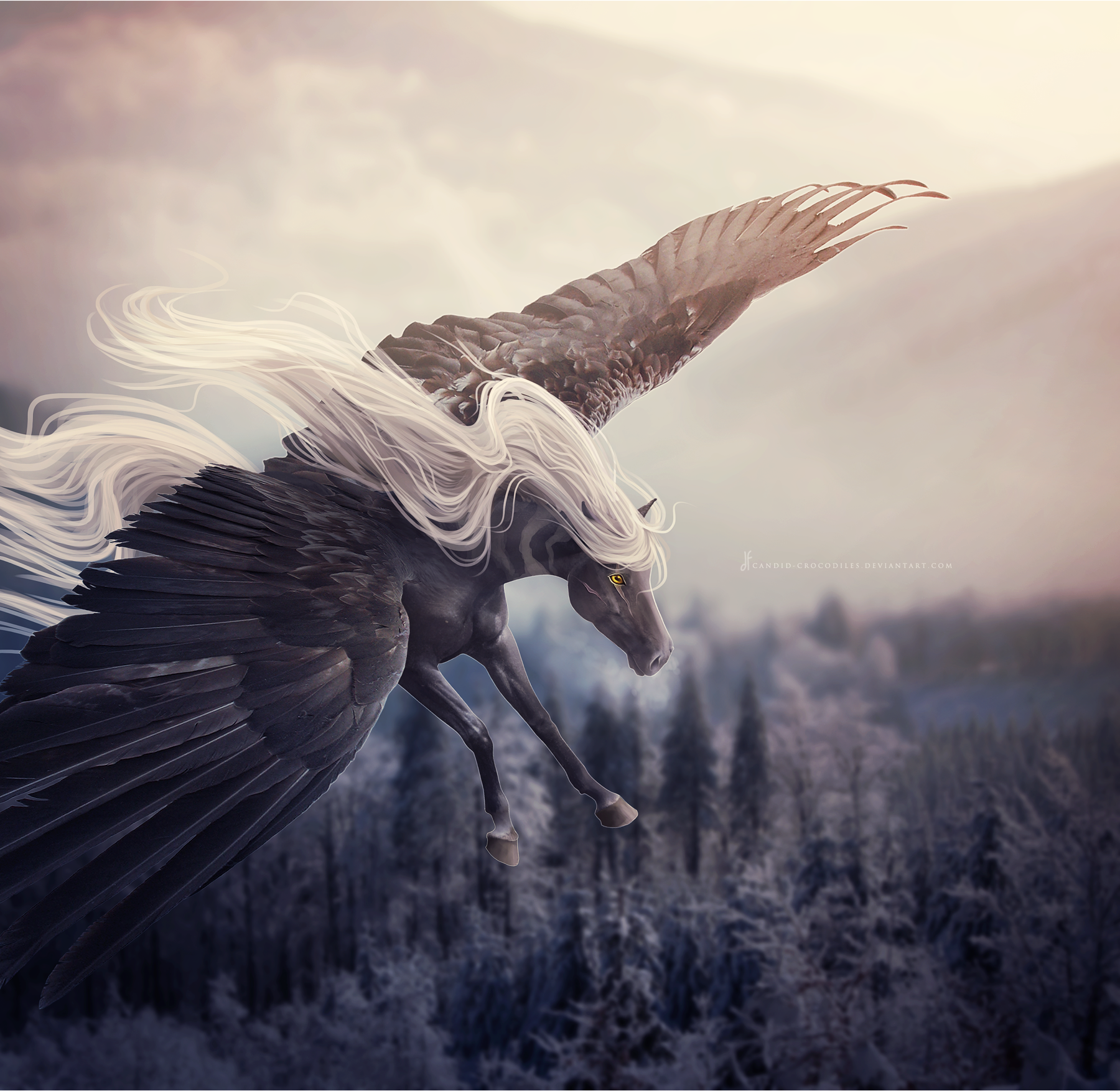 the ice queen