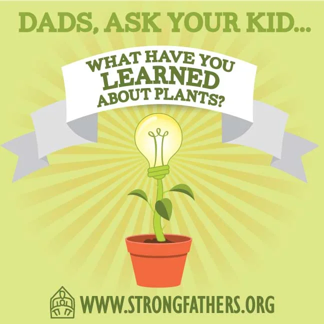 What have you learned about plants?