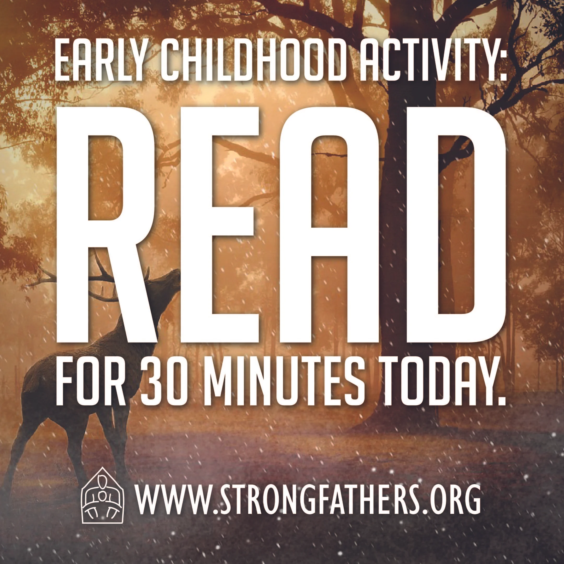 Read for 30 minutes today