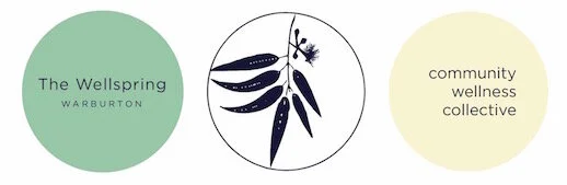 wellspring final logo-01 copy 2.jpg