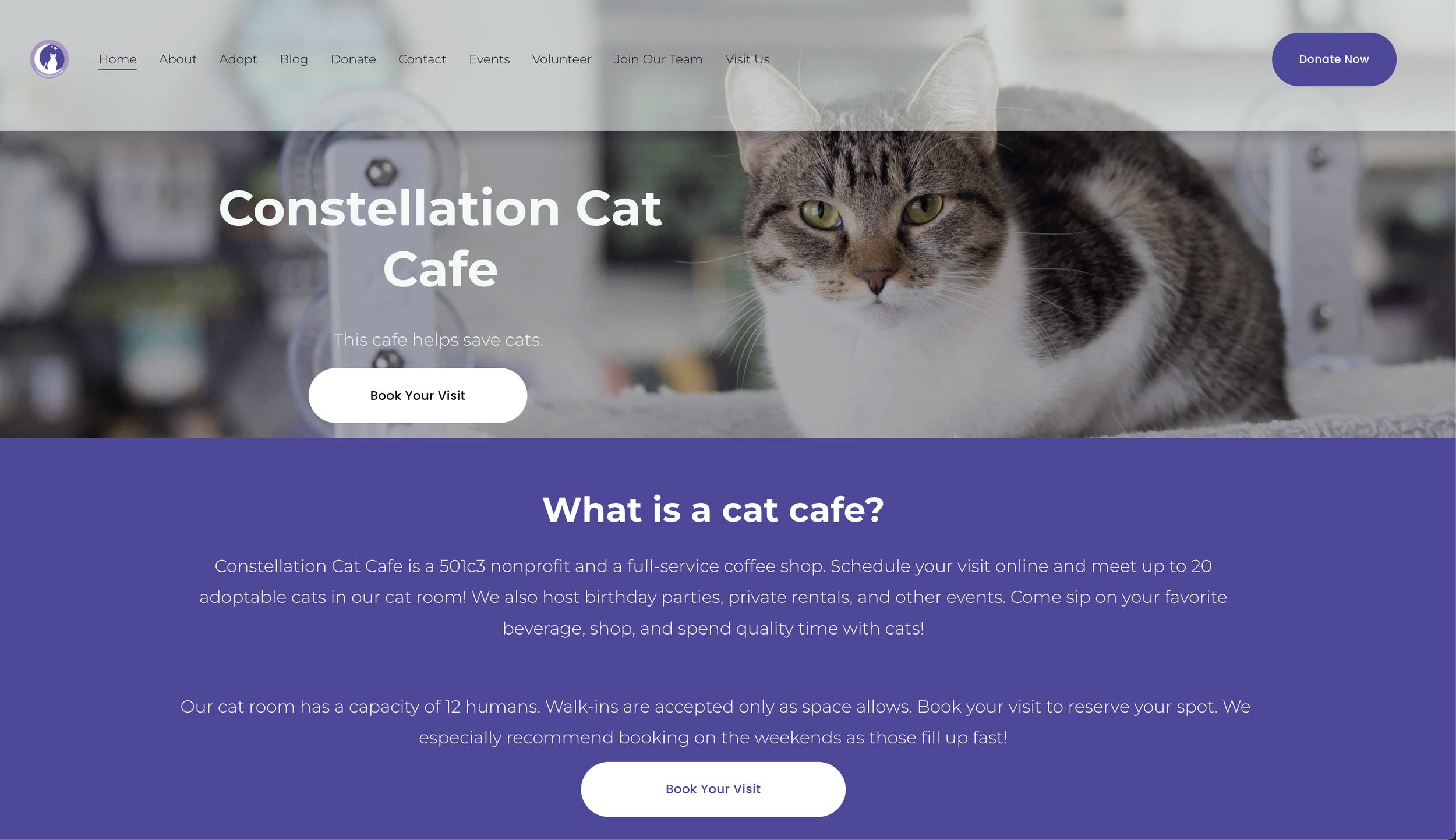 Screenshot 2025-10-16 at 3.12.59 PM.png