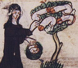 Did she steal it, or did she harvest it from a handy penis tree?