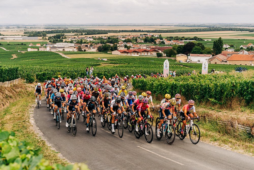 TDFFaZPrintsResize-4.jpg